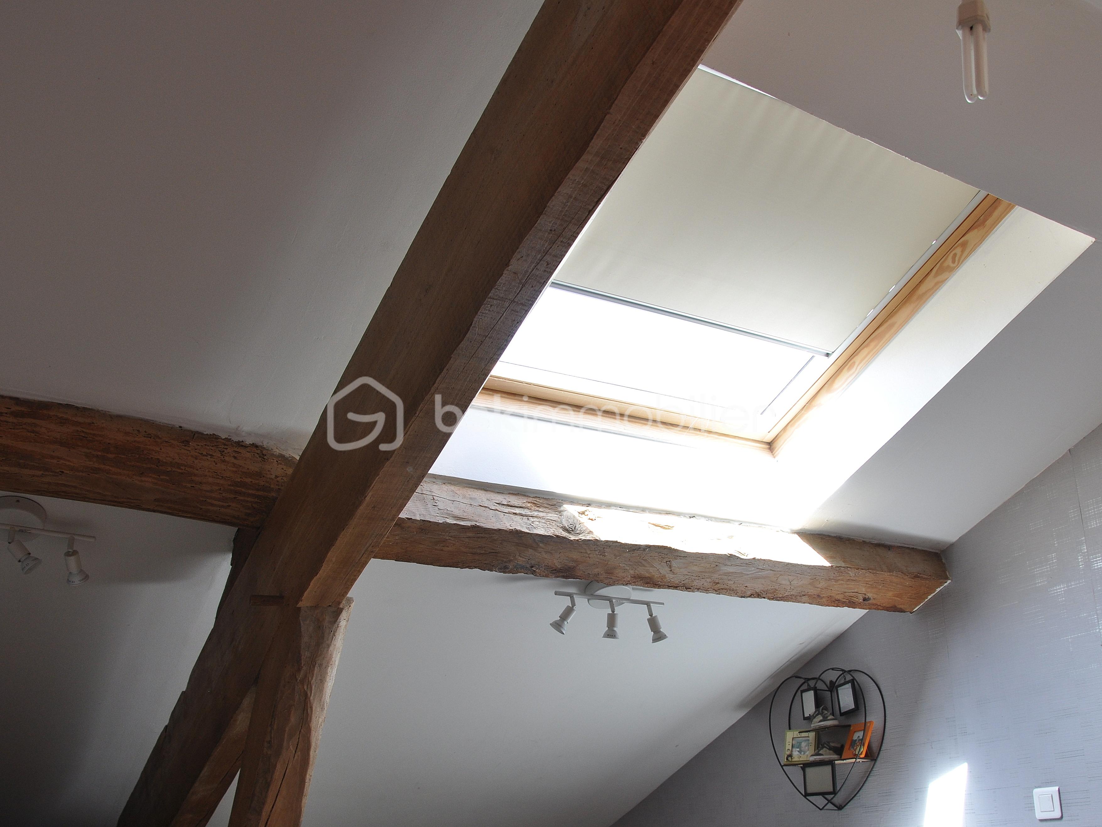 Bergerie de 200 m² - velux.jpg
