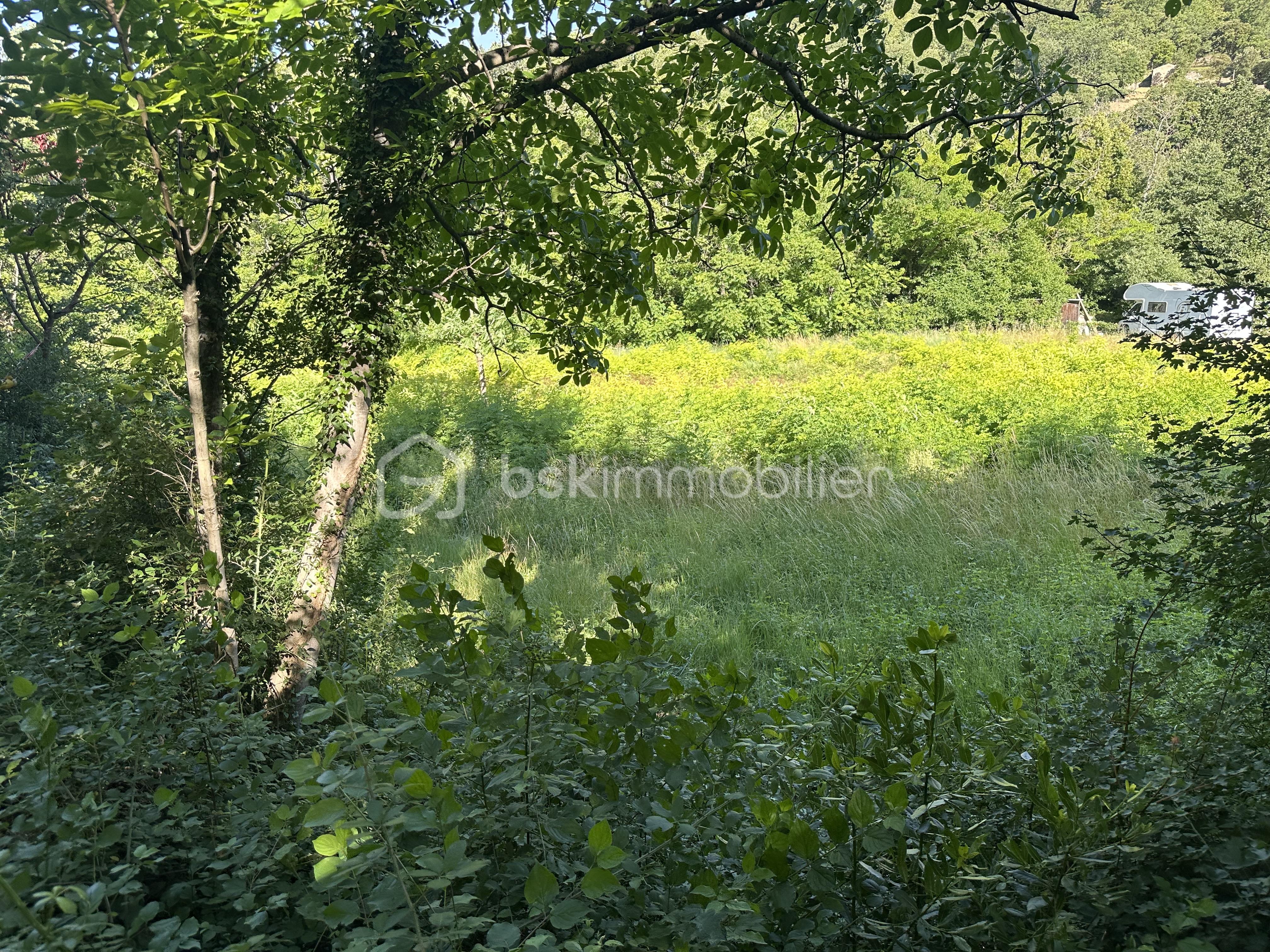 IMG_0332.jpeg