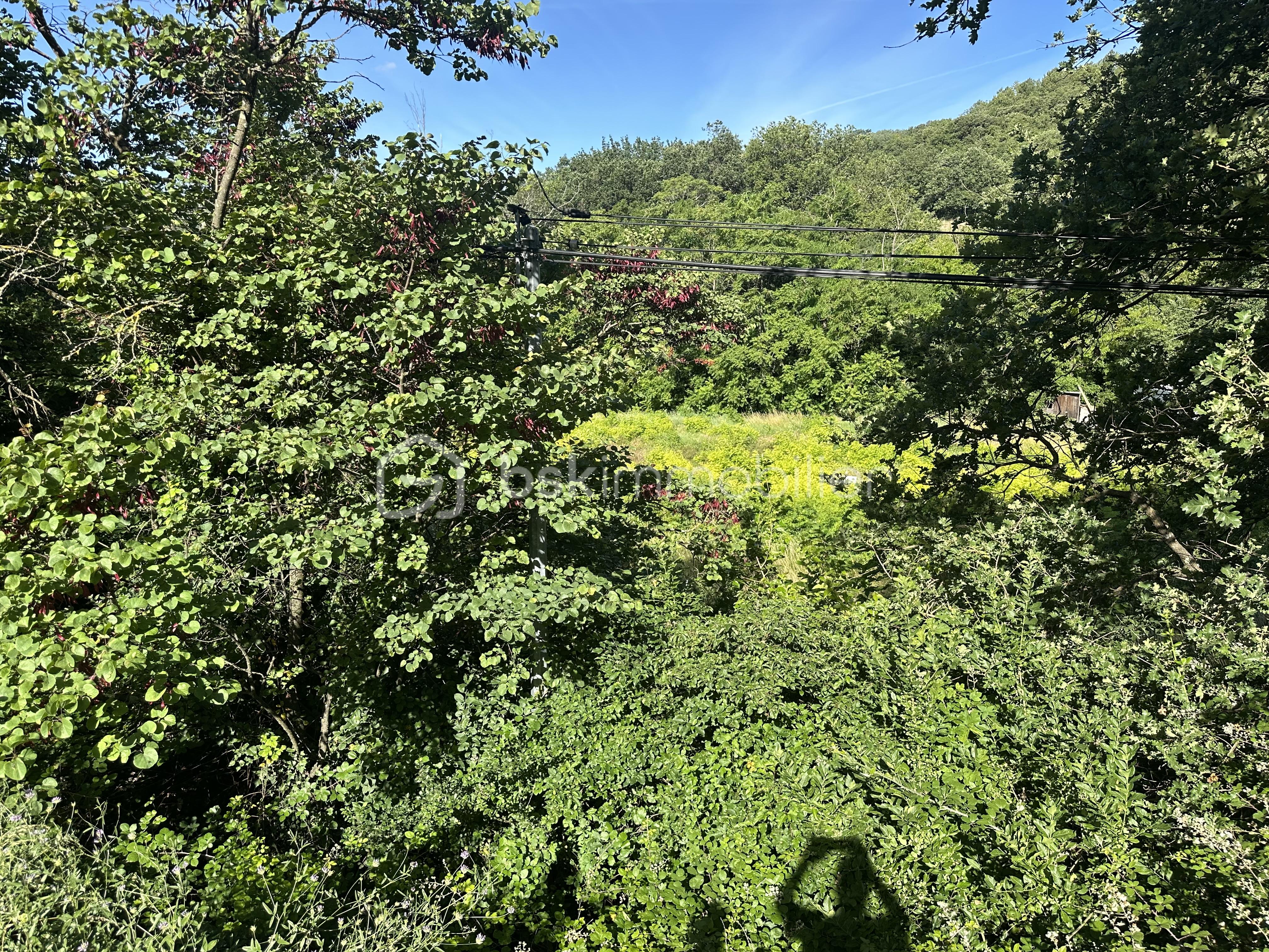 IMG_0333.jpeg
