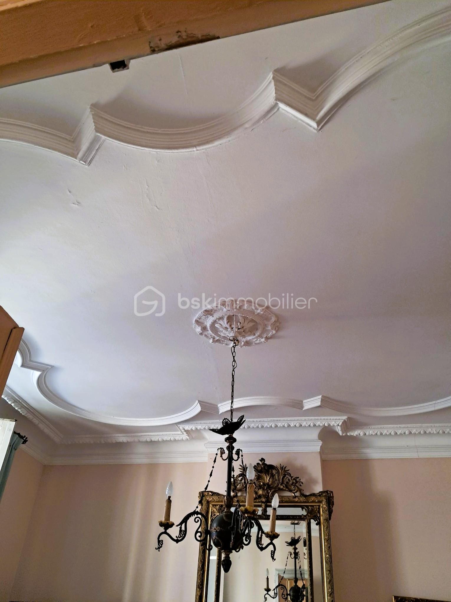 Demeure de 306 m² - 8v - salon plafond.jpg