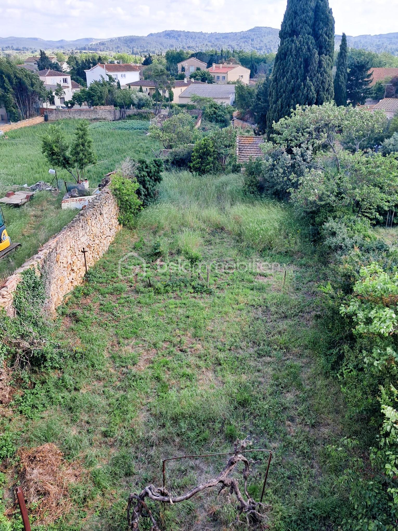 Demeure de 306 m² - 35 - terrain.jpg