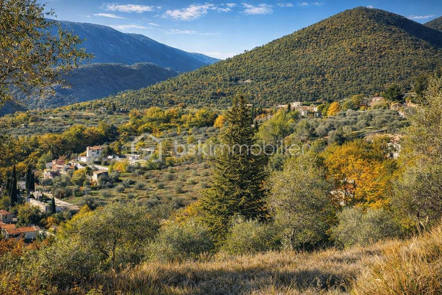 Paysage ensoleillé de la Provence.png