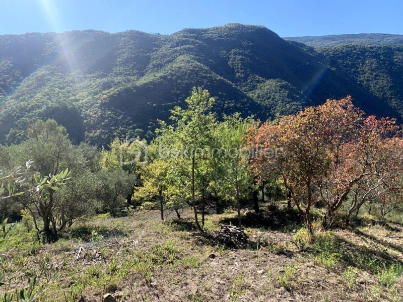 Terrain de 1 523 m² - 04.jpg