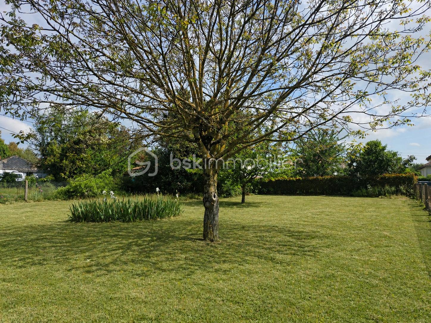 JARDIN 6.png