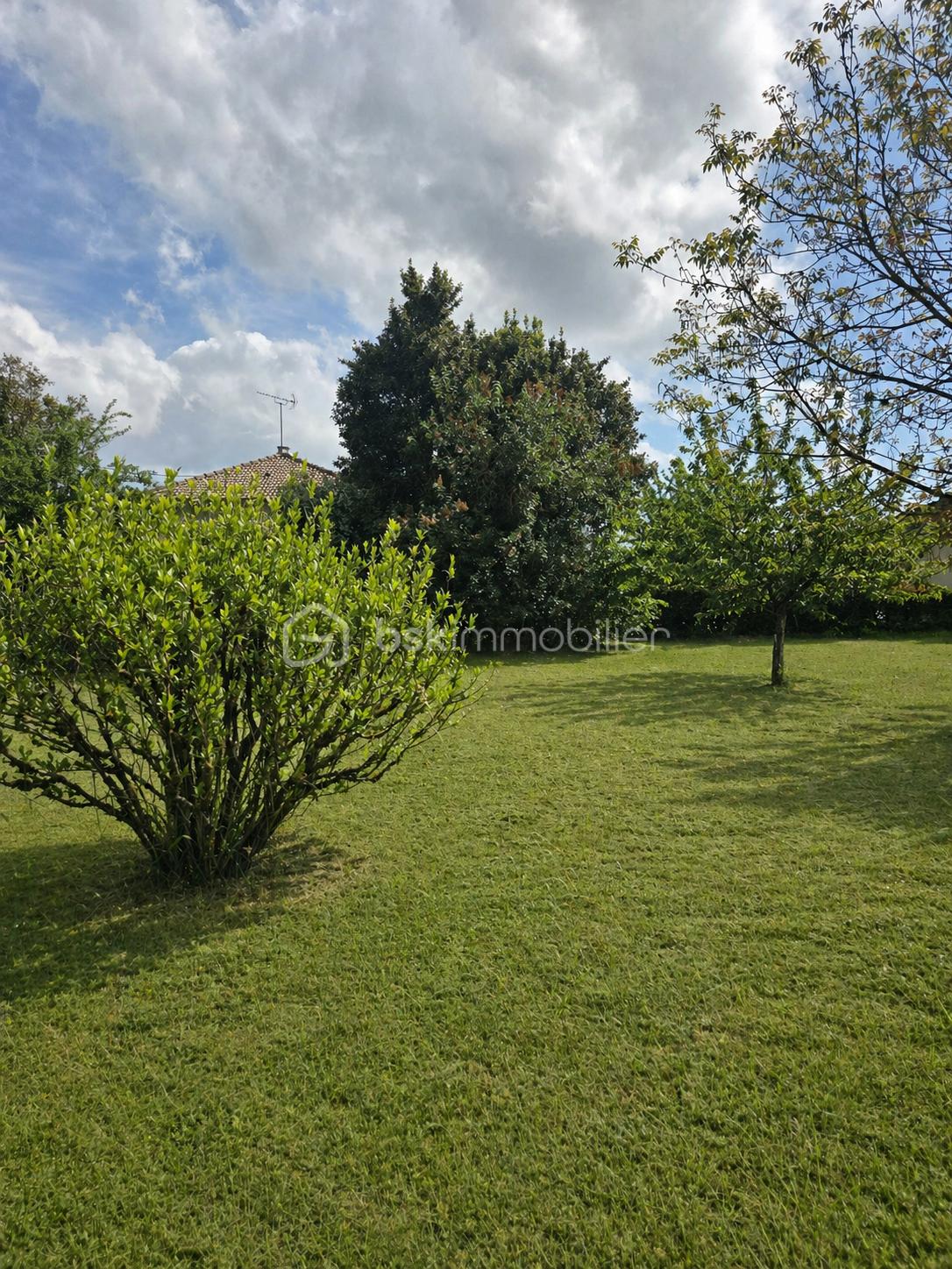 JARDIN 8.png