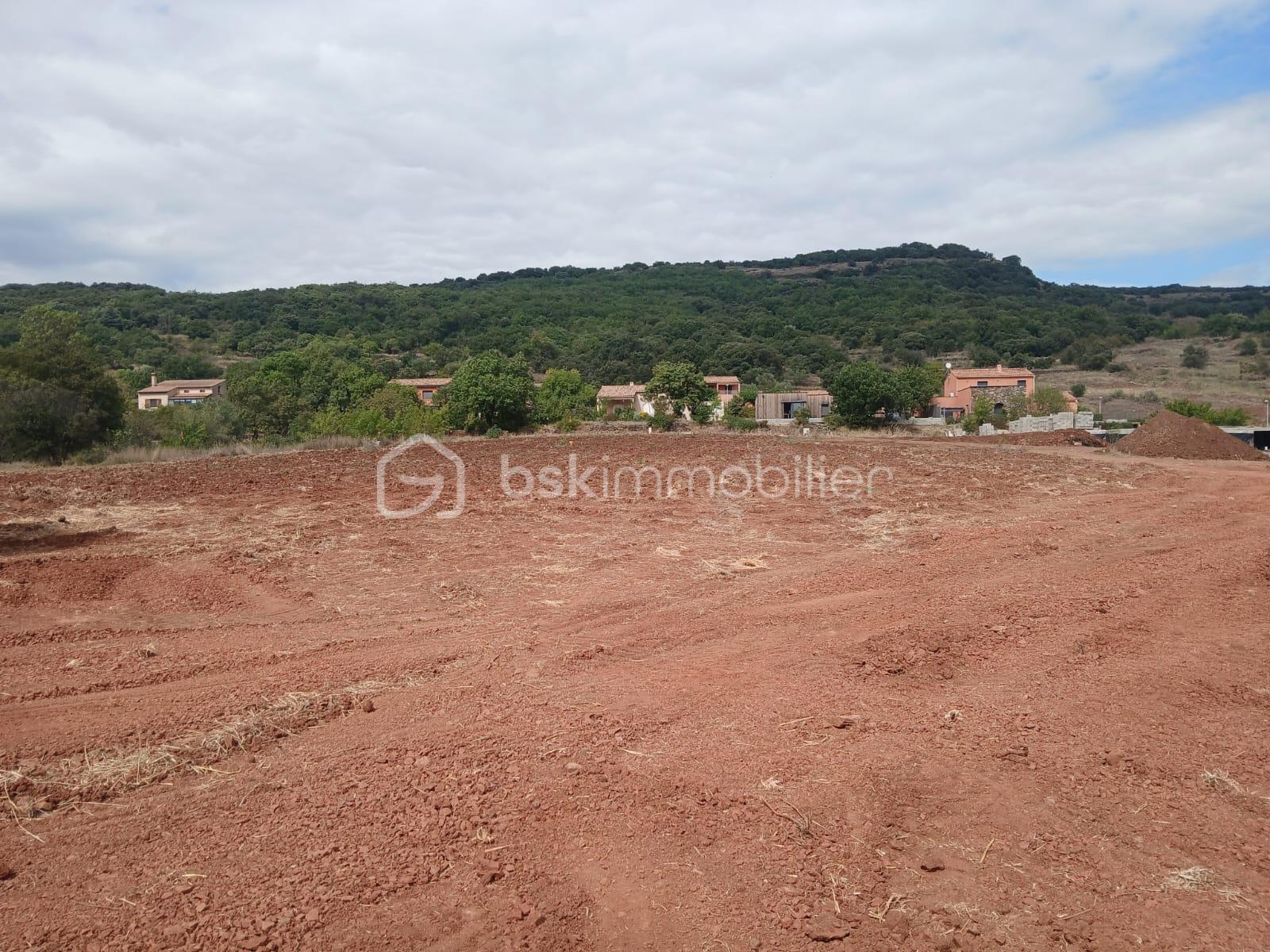 TERRAIN OCTON.2.jfif