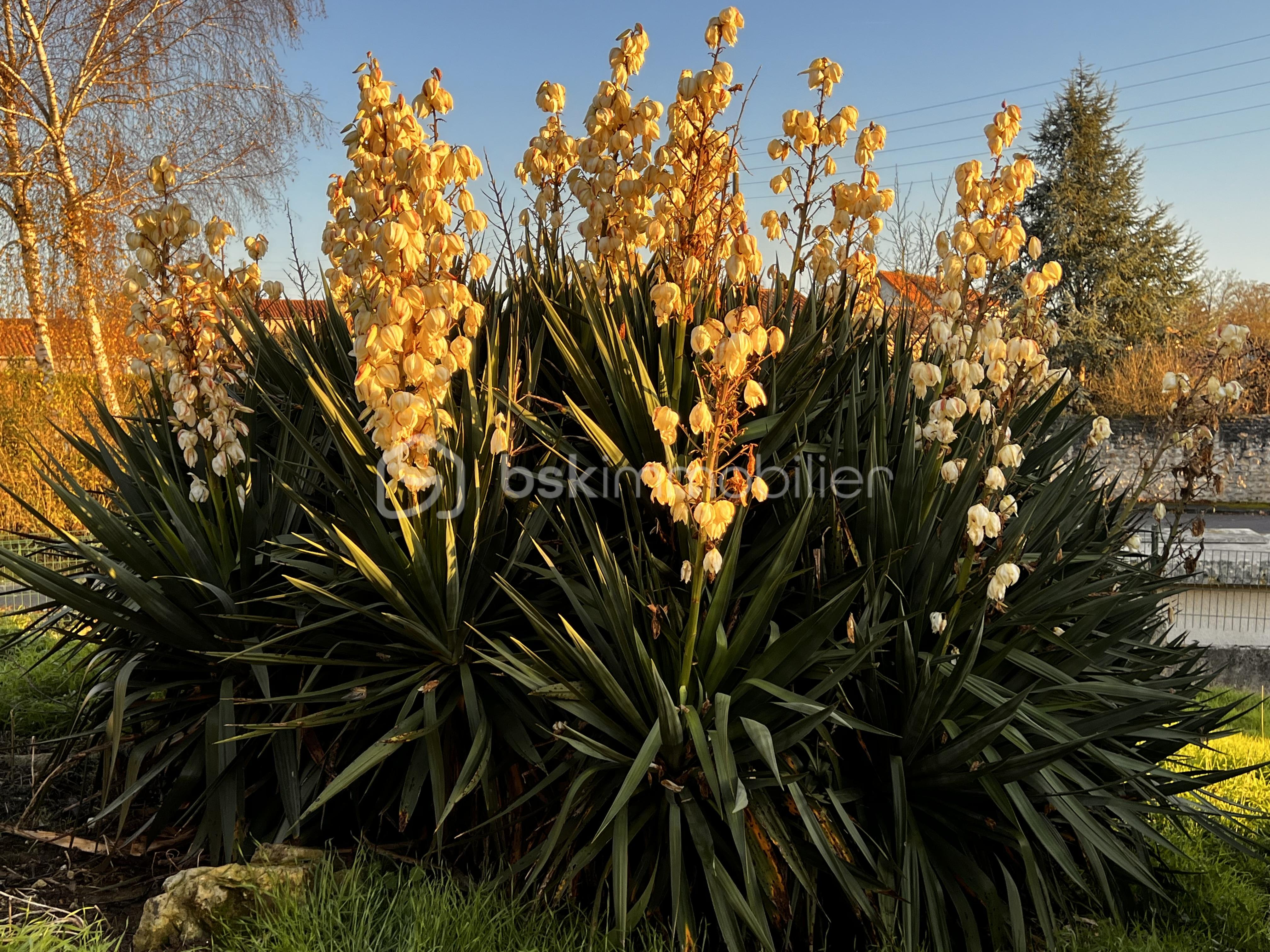 Maison de 113 m² - IMG_8998.jpeg