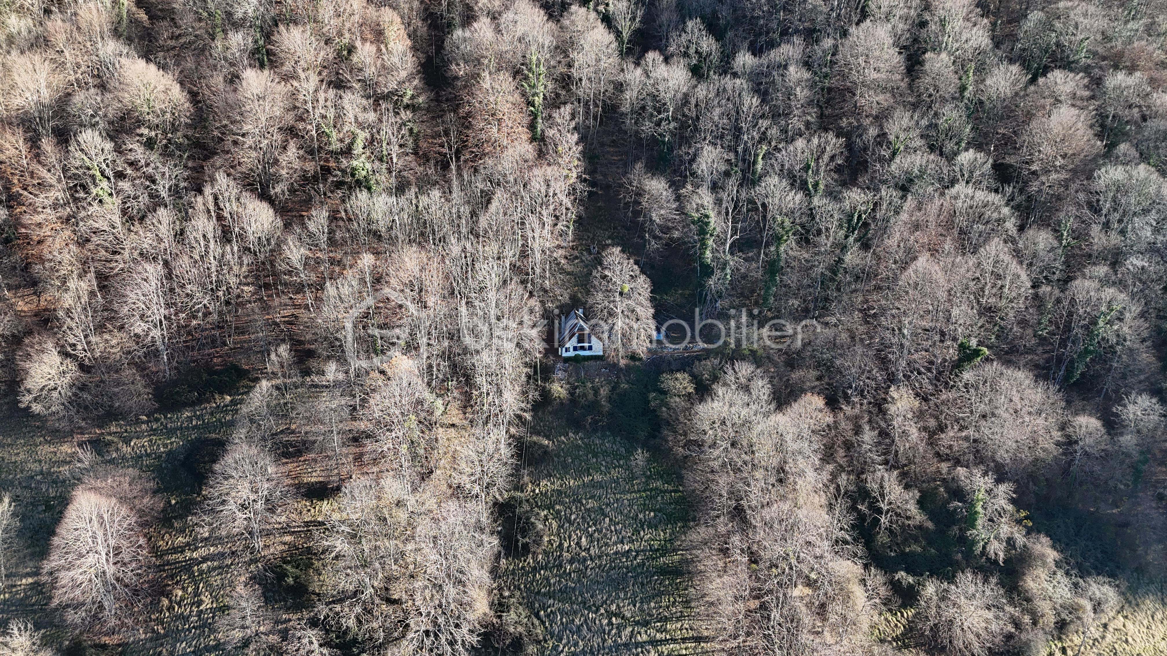 DJI_20251209114824_0003_D.JPG