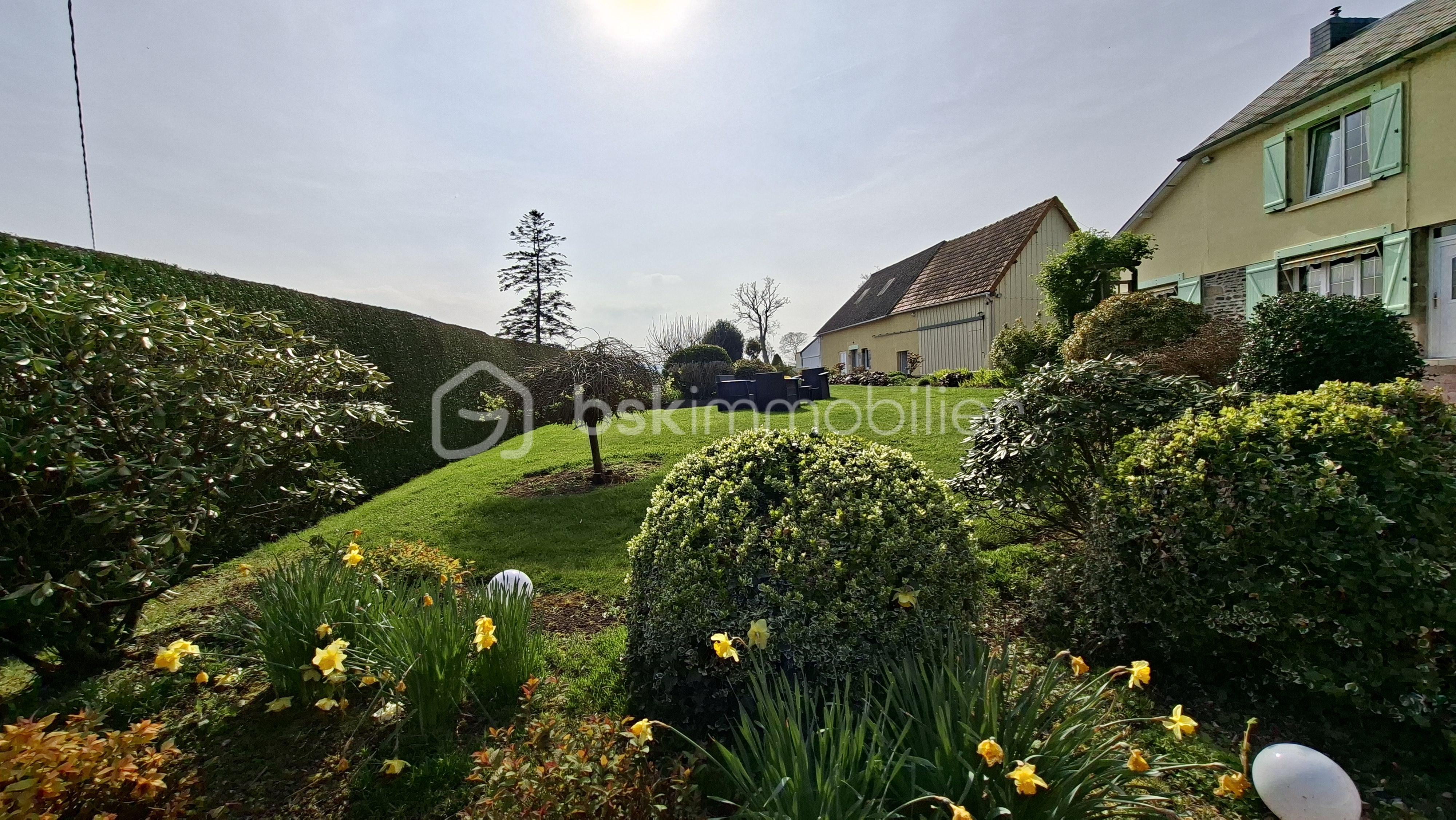 BOU terrain avant 4 vers portail dépendance et parc fleuri.jpg