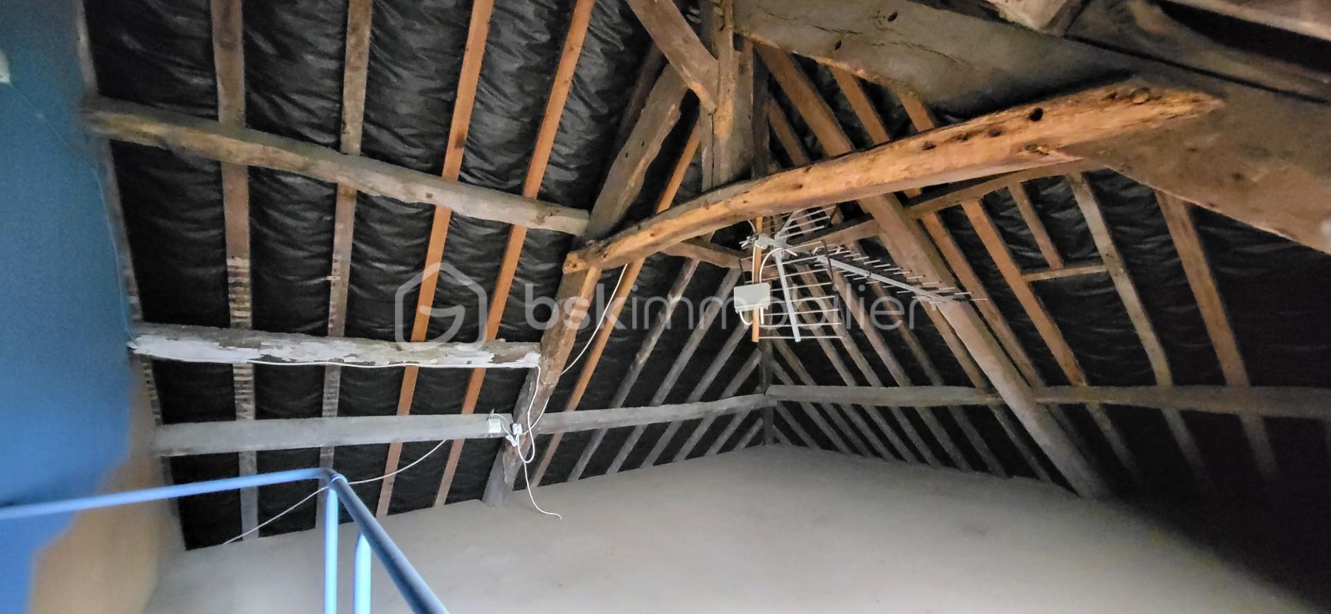 Gou rue du centre grenier.jpg