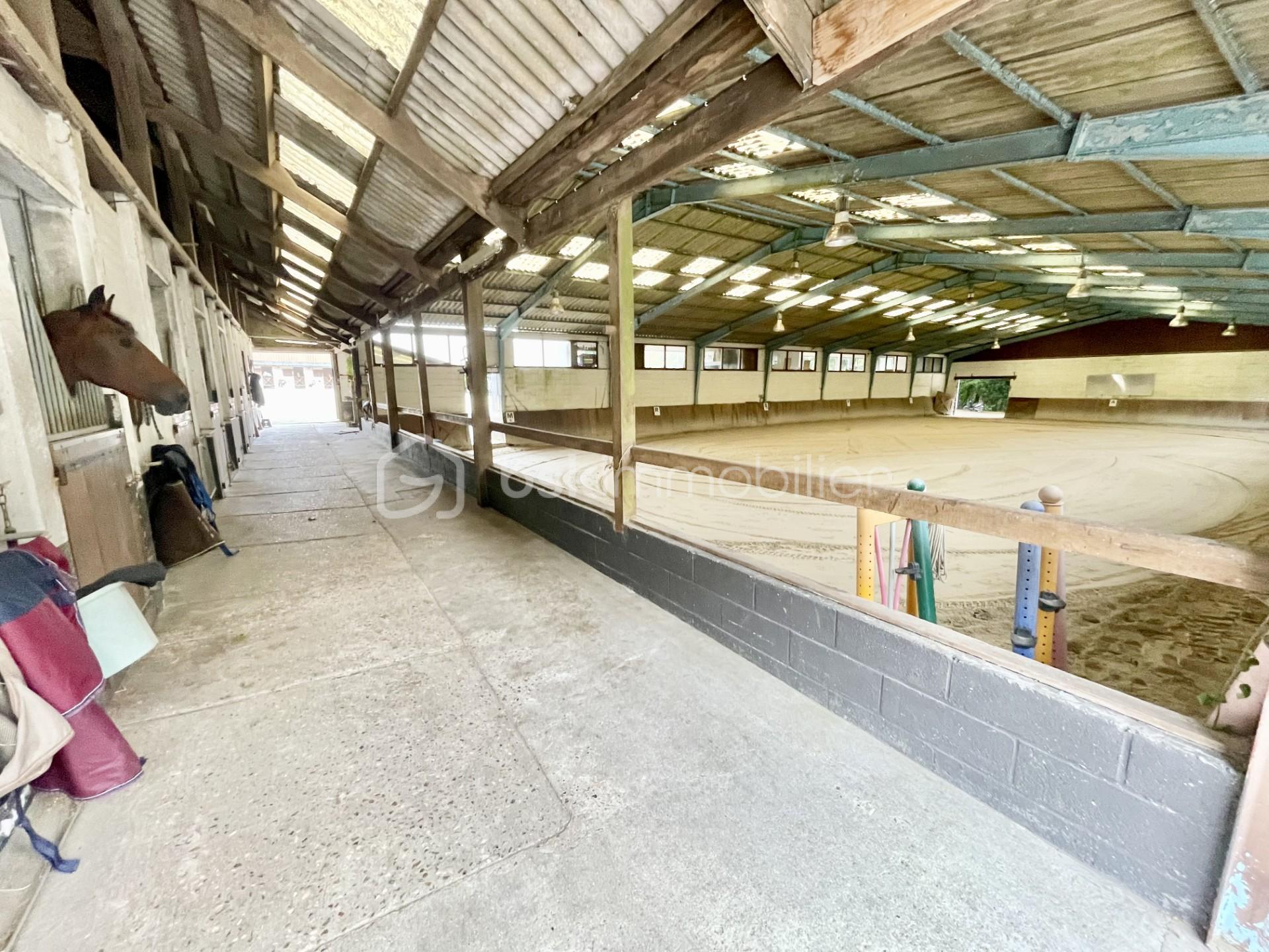 Propriete equestre de 236 m² - thumbnail_IMG_4183.jpg
