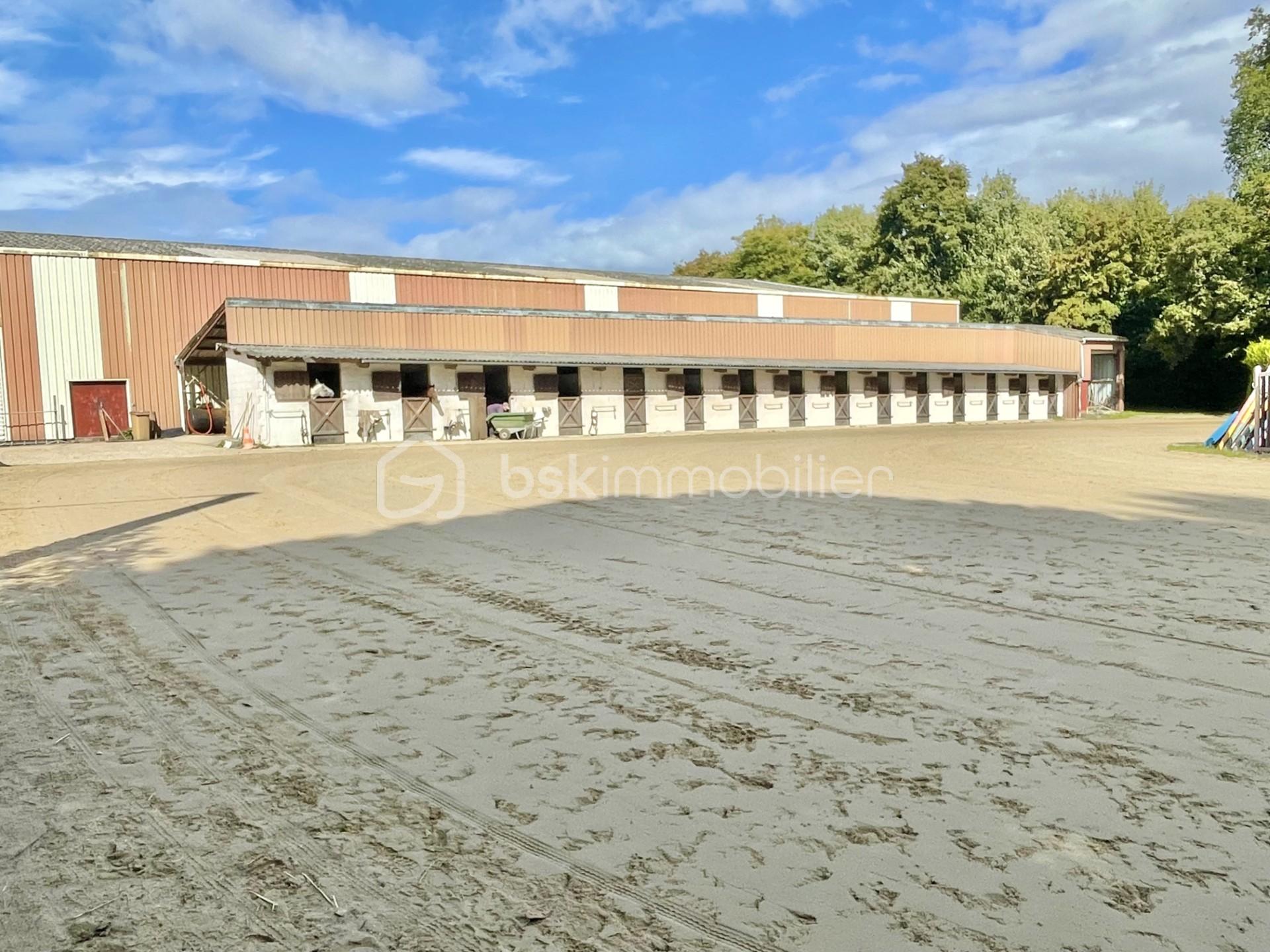 Propriete equestre de 236 m² - thumbnail_IMG_4187.jpg