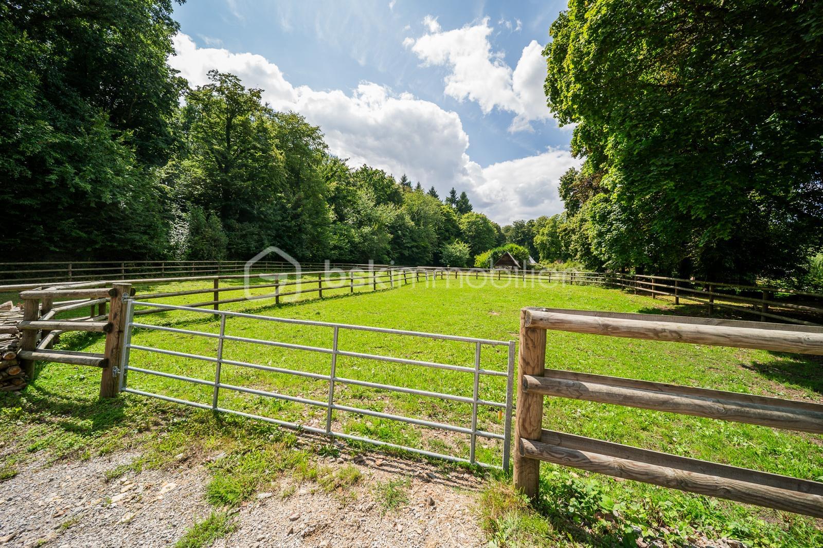Propriete equestre de 236 m² - bade56f8-eb91-45b4-9446-37bbf0779d14.JPG