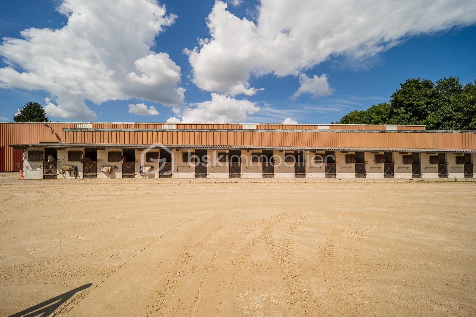 Propriete equestre de 236 m² - 284e926d-9637-4dc7-bfb6-552cbeb0232c.JPG