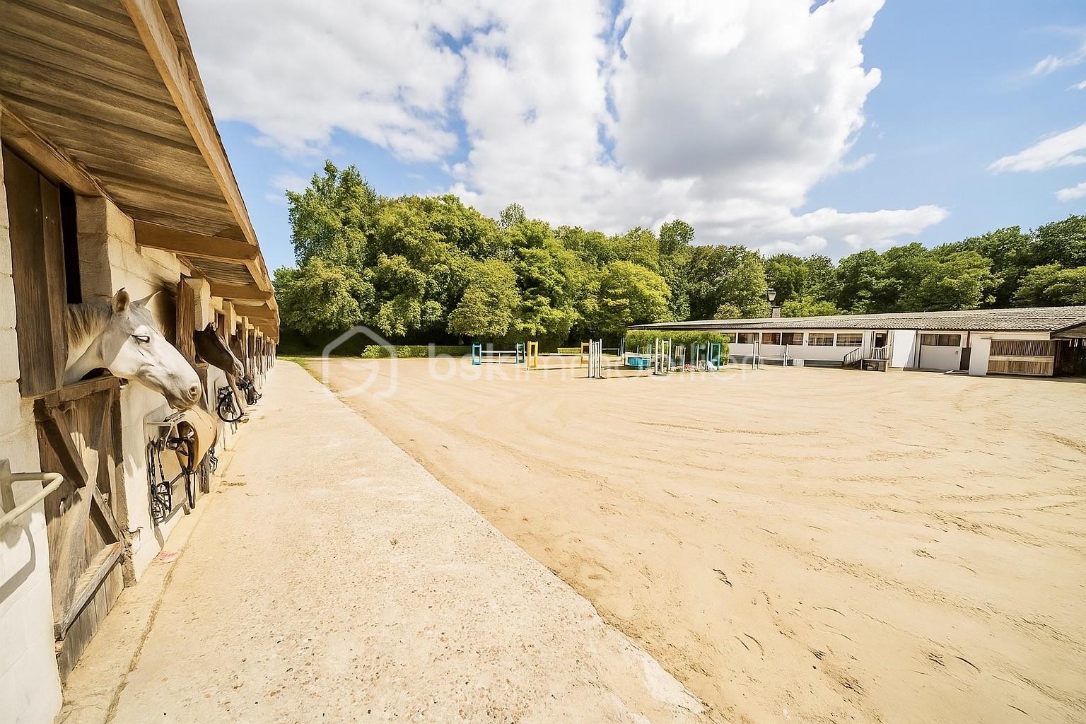 Propriete equestre de 236 m² - ret.jpg