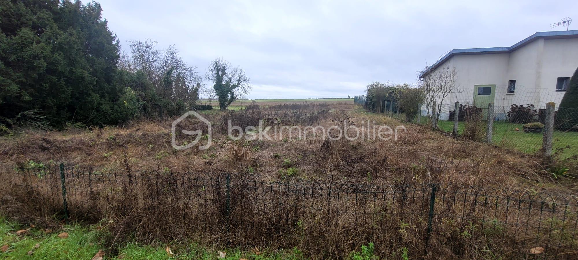 Terrain de 1 000 m²