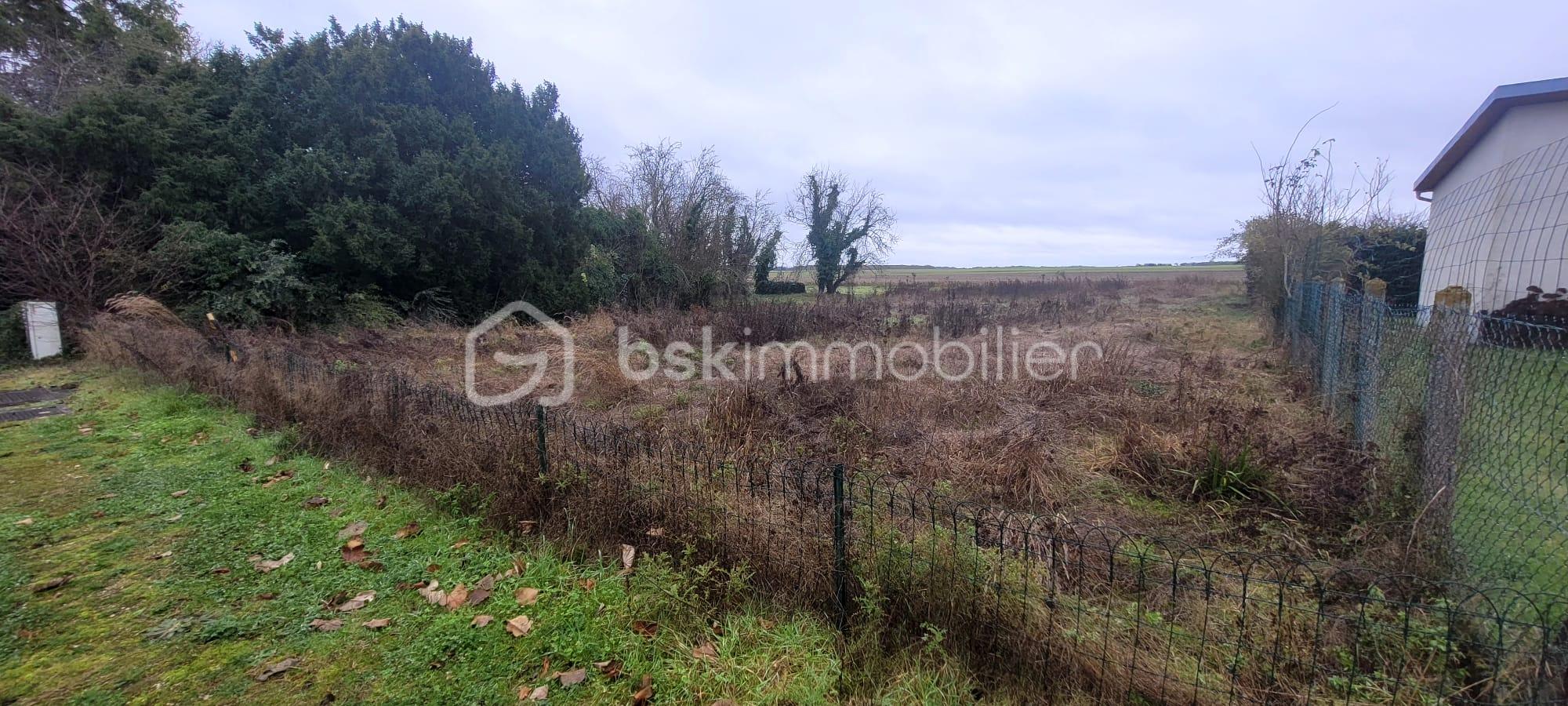 Terrain de 1 000 m² - WhatsApp Image 2025-12-08 à 11.31.27_8af09fe8.jpg