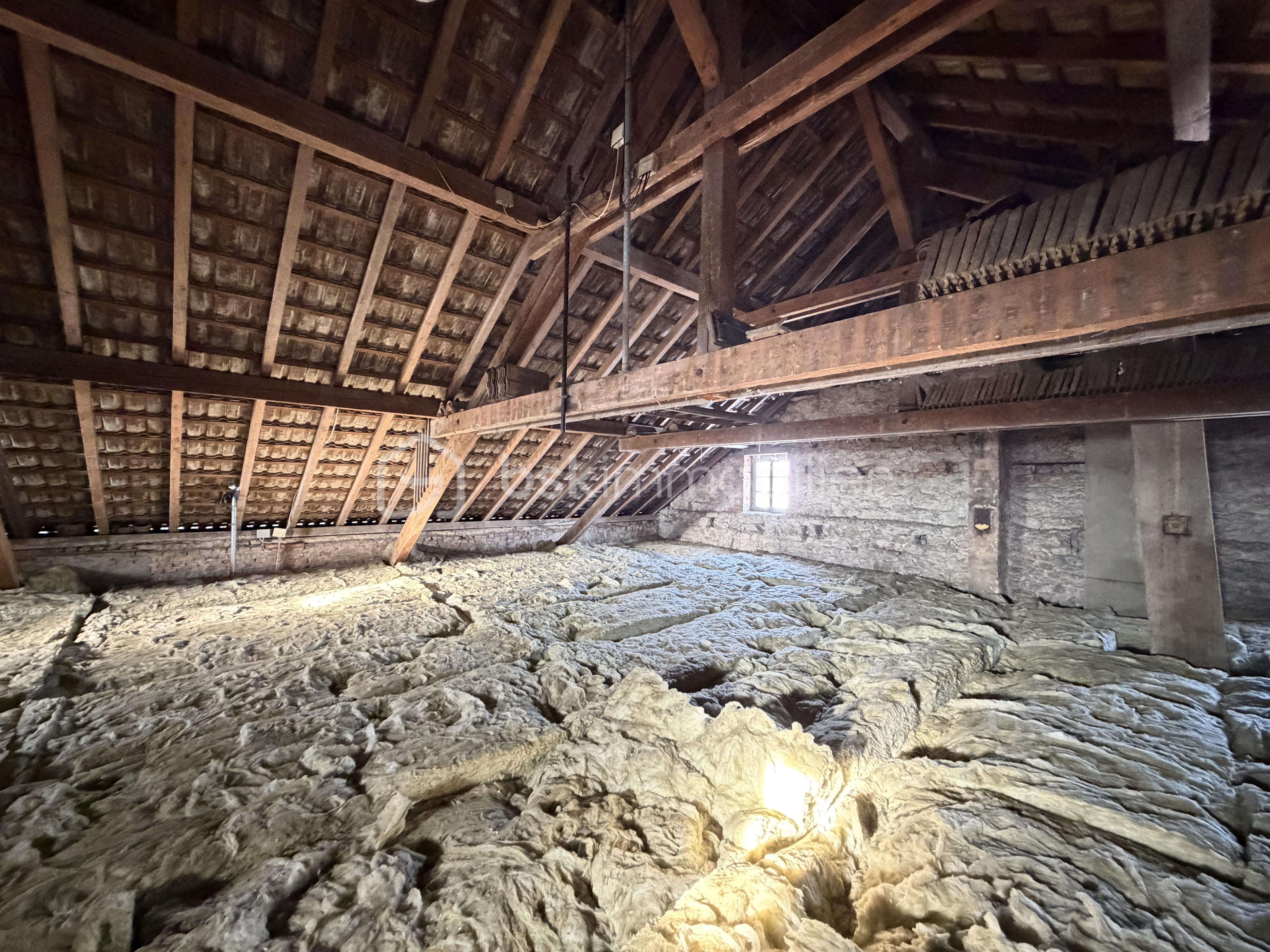 Immeuble mixte de 464 m² - IMG_1563 2.JPG