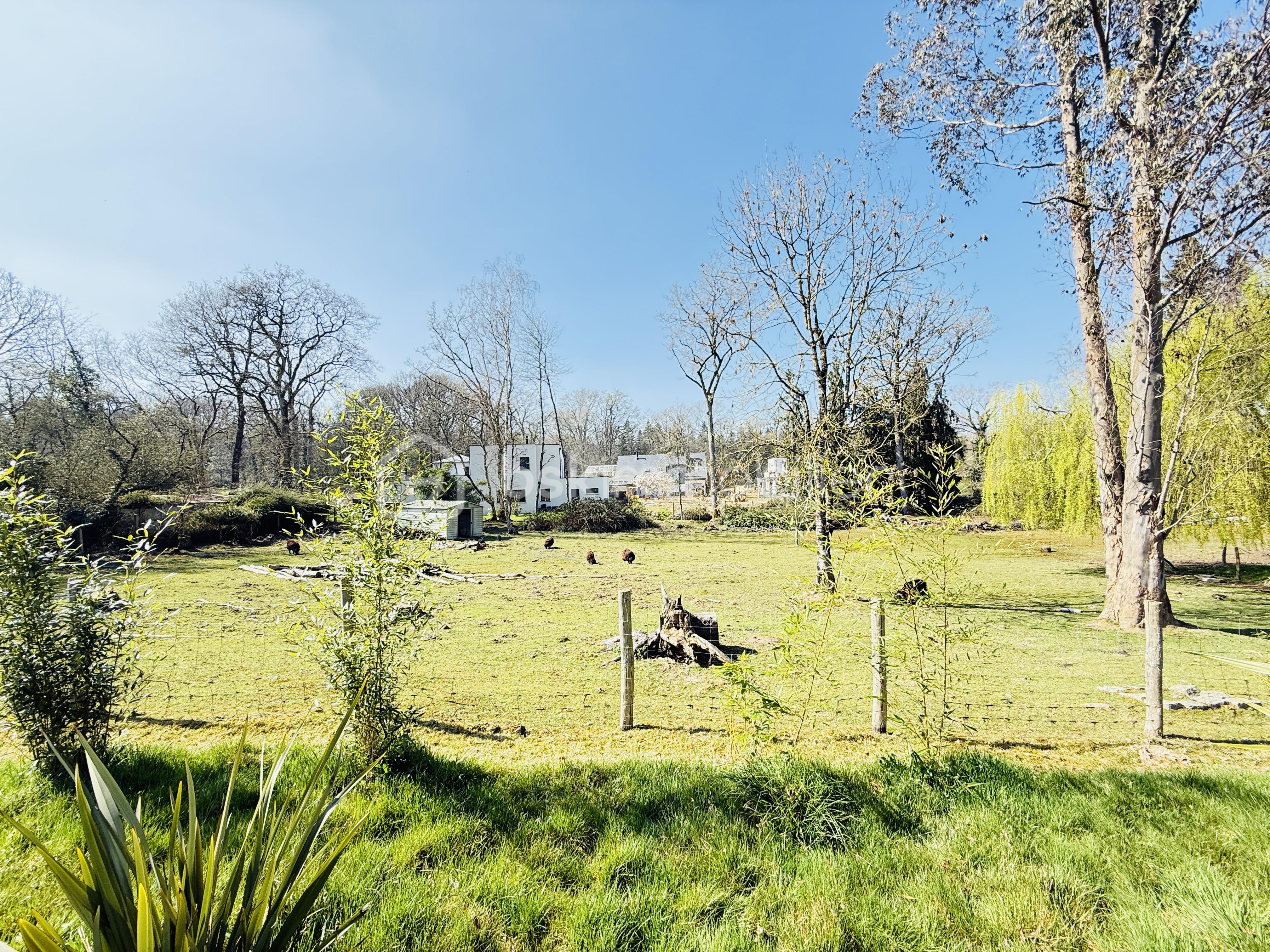 Maison de 130 m² - IMG_5145.JPG