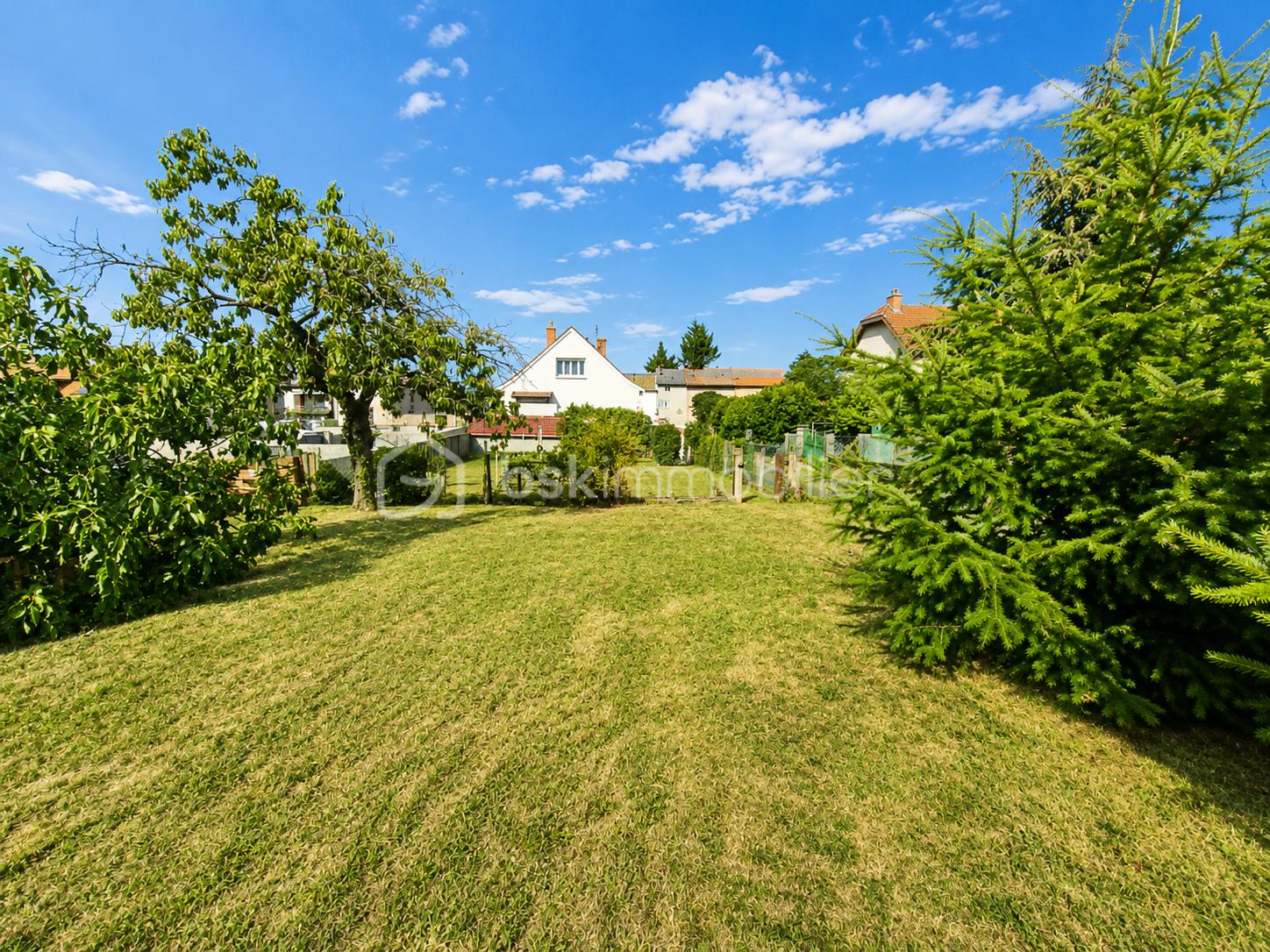 Terrain + vue maison.png