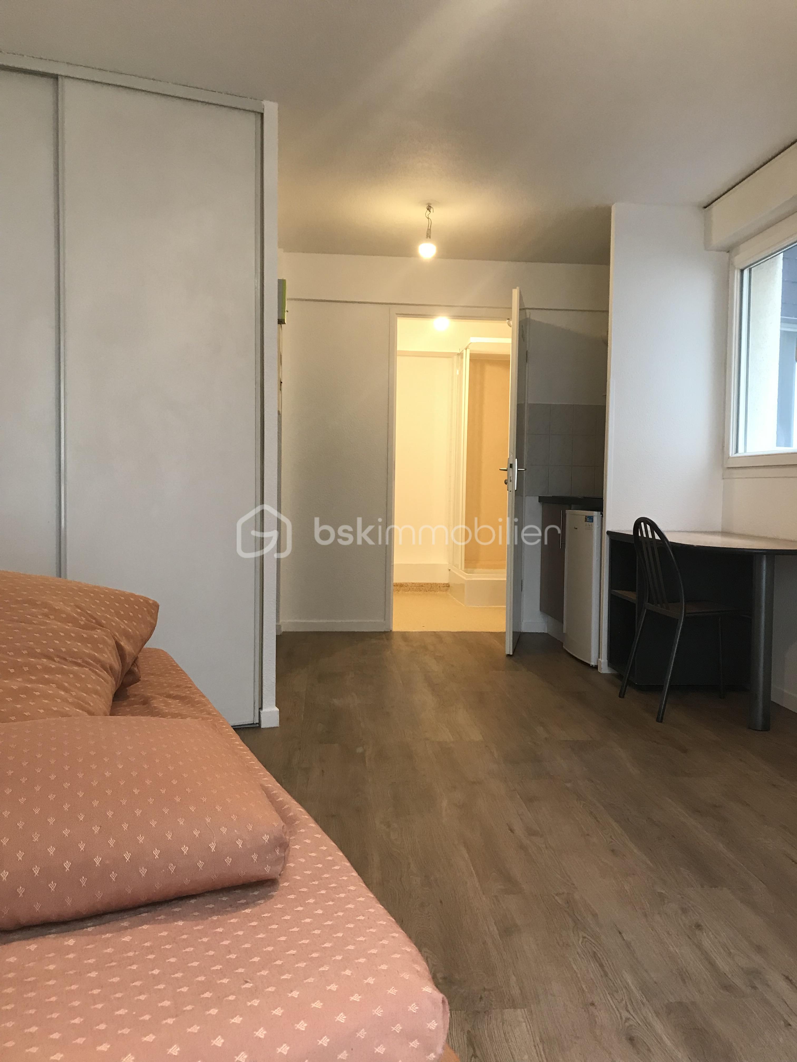 Appartement de 22 m² - SEJOUR STUDIO ST SEVER.jpg