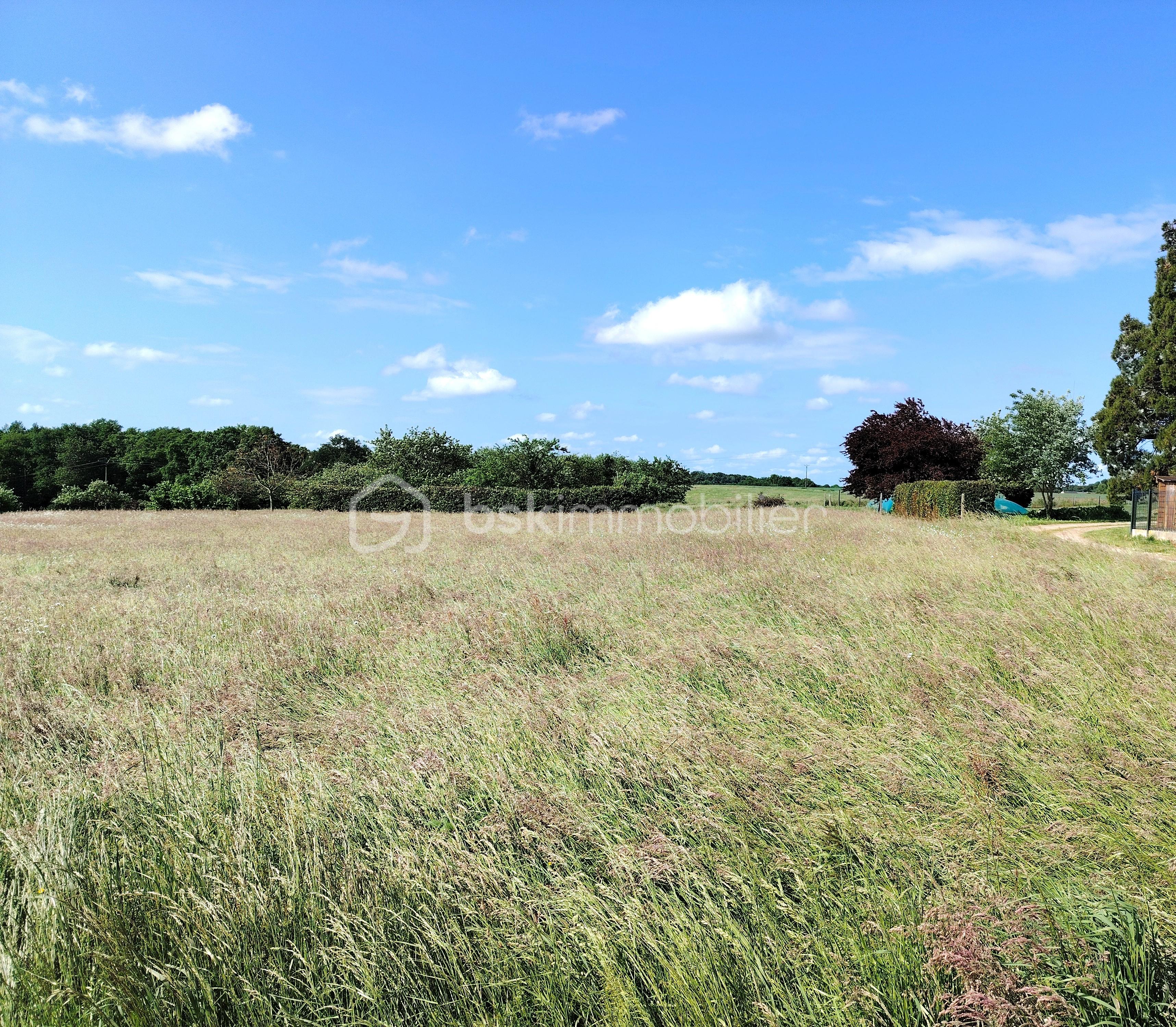 Terrain de 757 m² - IMG_20250505_105550.jpg