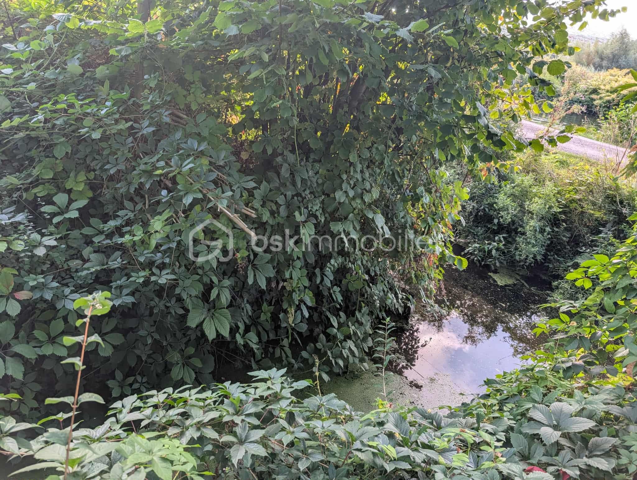 Chalet de 36 m² - d123cfa9-3edf-41eb-b824-1566cfabfb2d.jfif