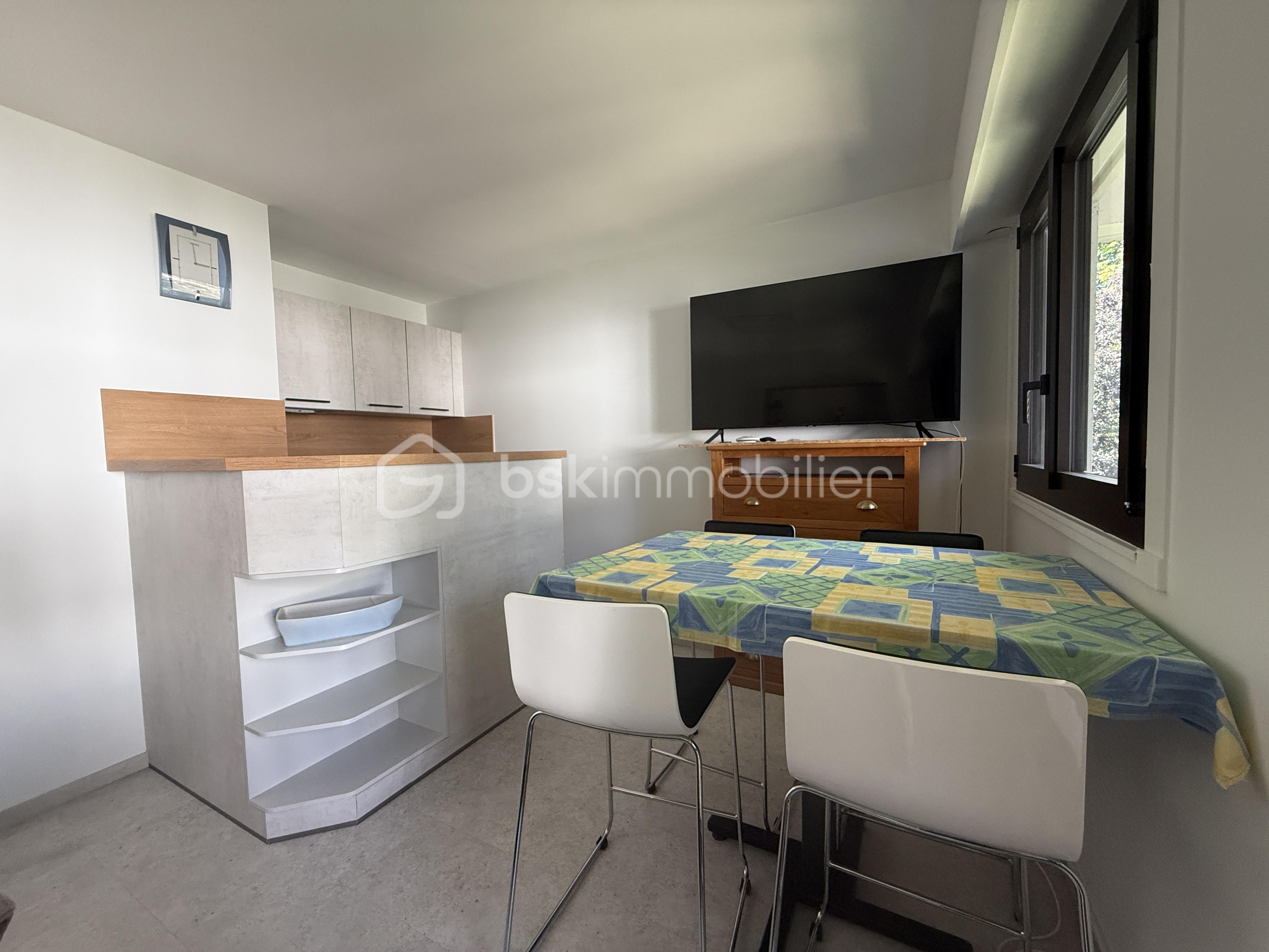 Appartement de 22,24 m² - IMG_0475.JPG