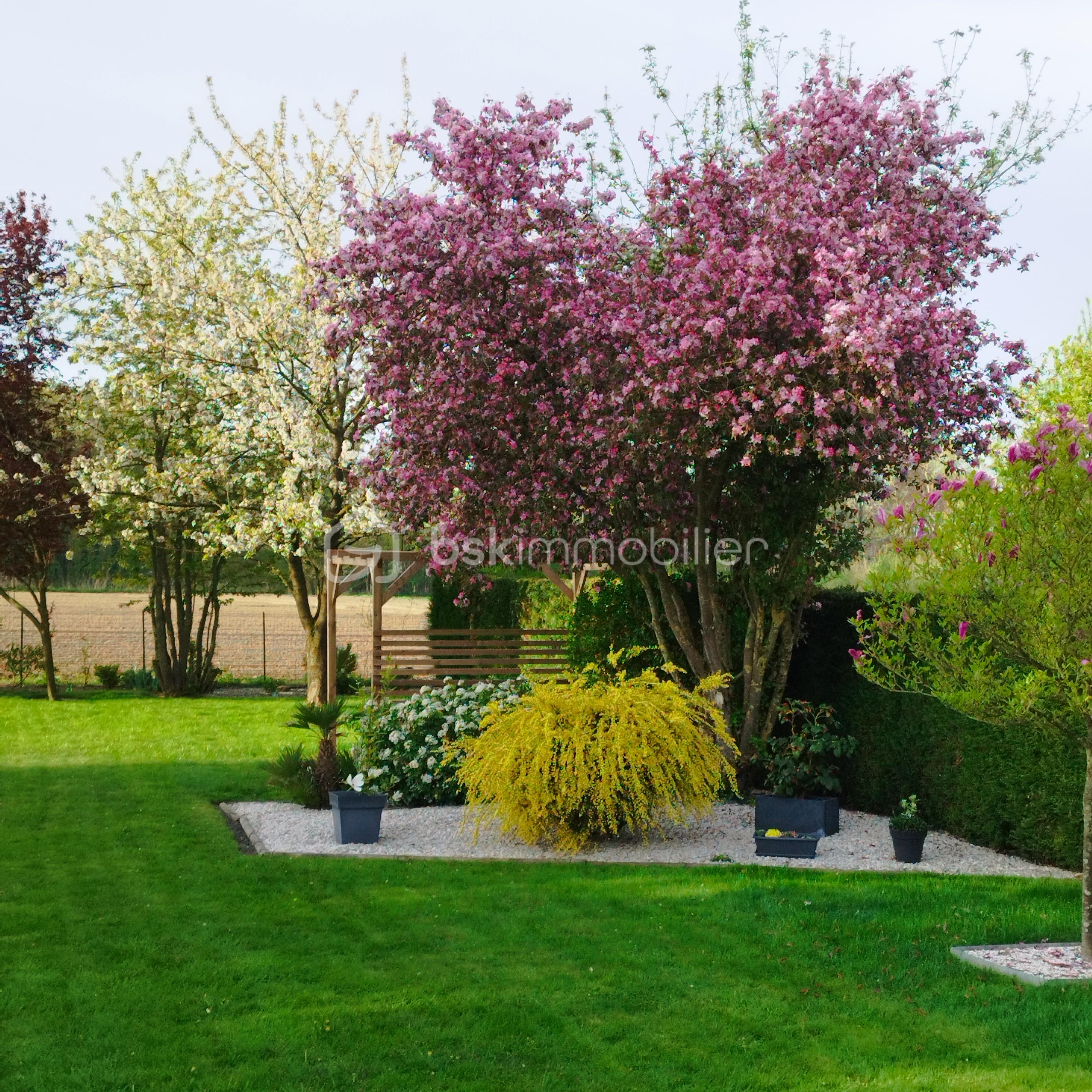 Maison traditionnelle de 194 m² - Jardin Printemps.jpg