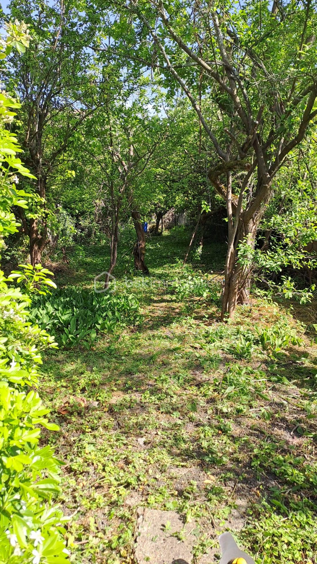 Photo jardin Rue des vignes .jpg
