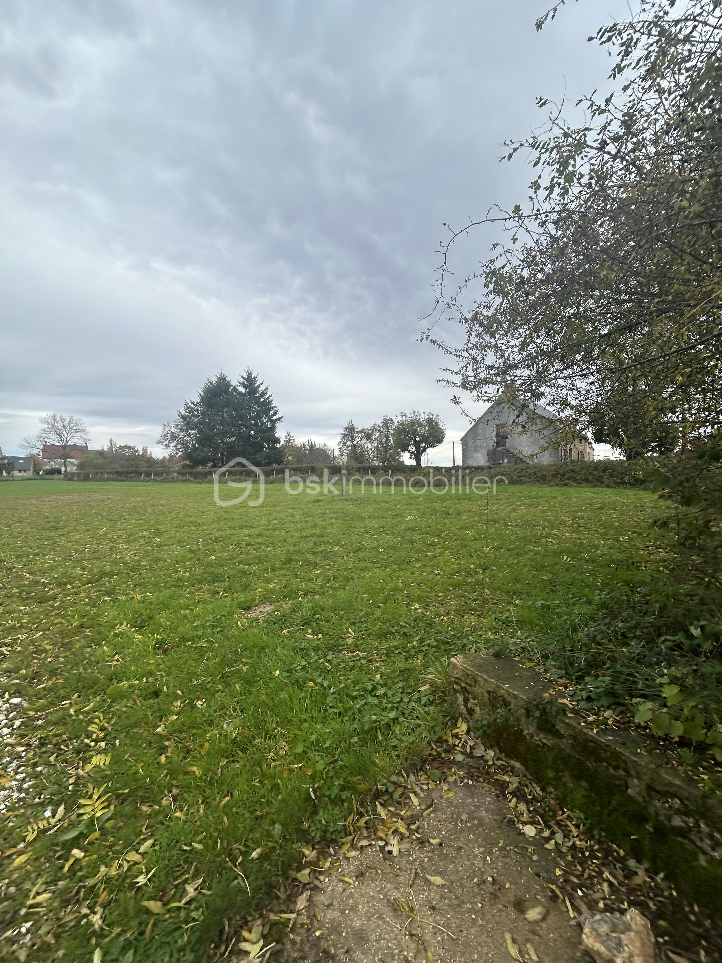 Terrain de 3 318 m² - IMG_5630.jpeg