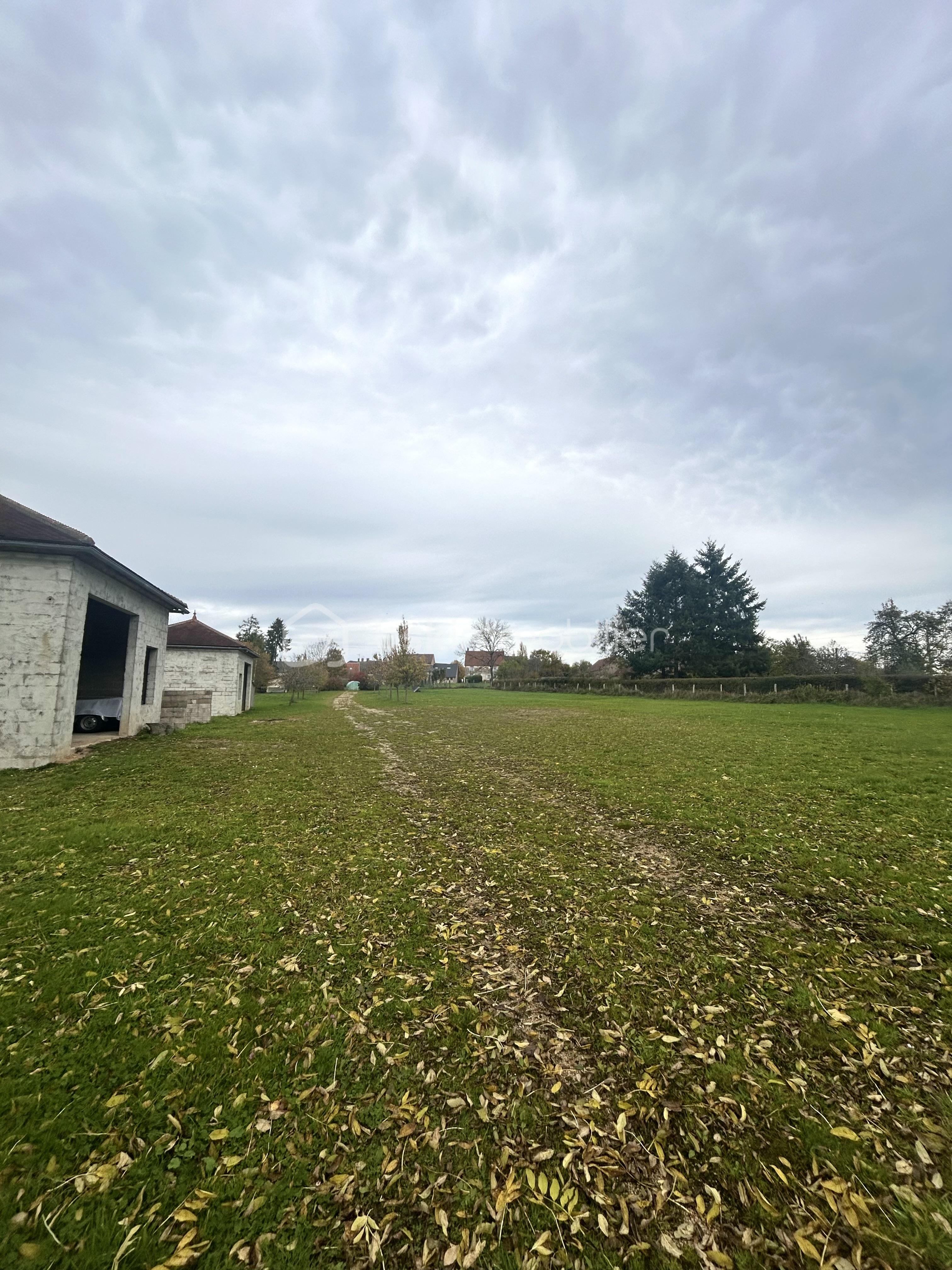 Terrain de 3 318 m² - IMG_5635.jpeg