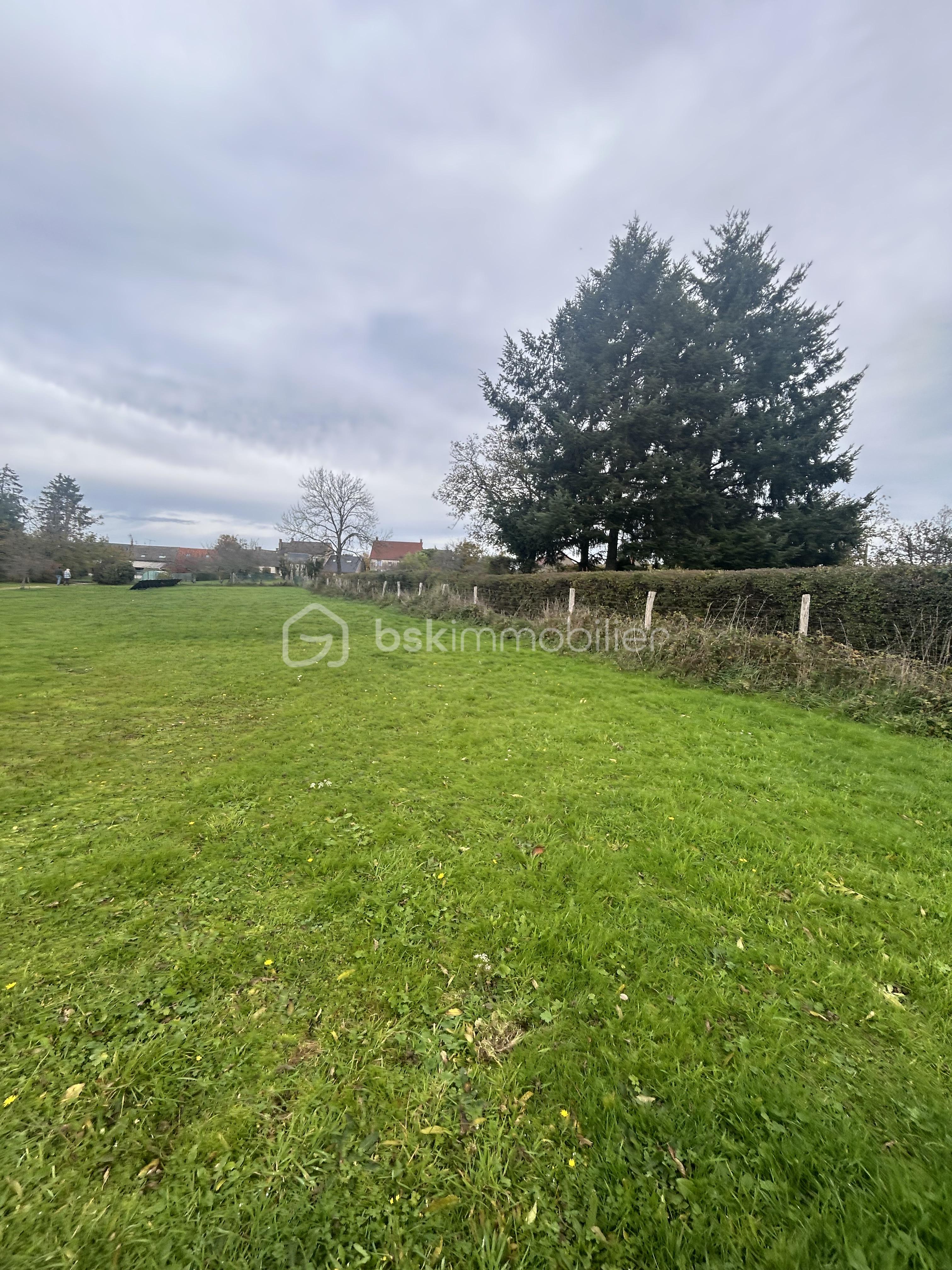 Terrain de 3 318 m² - IMG_5718.jpeg