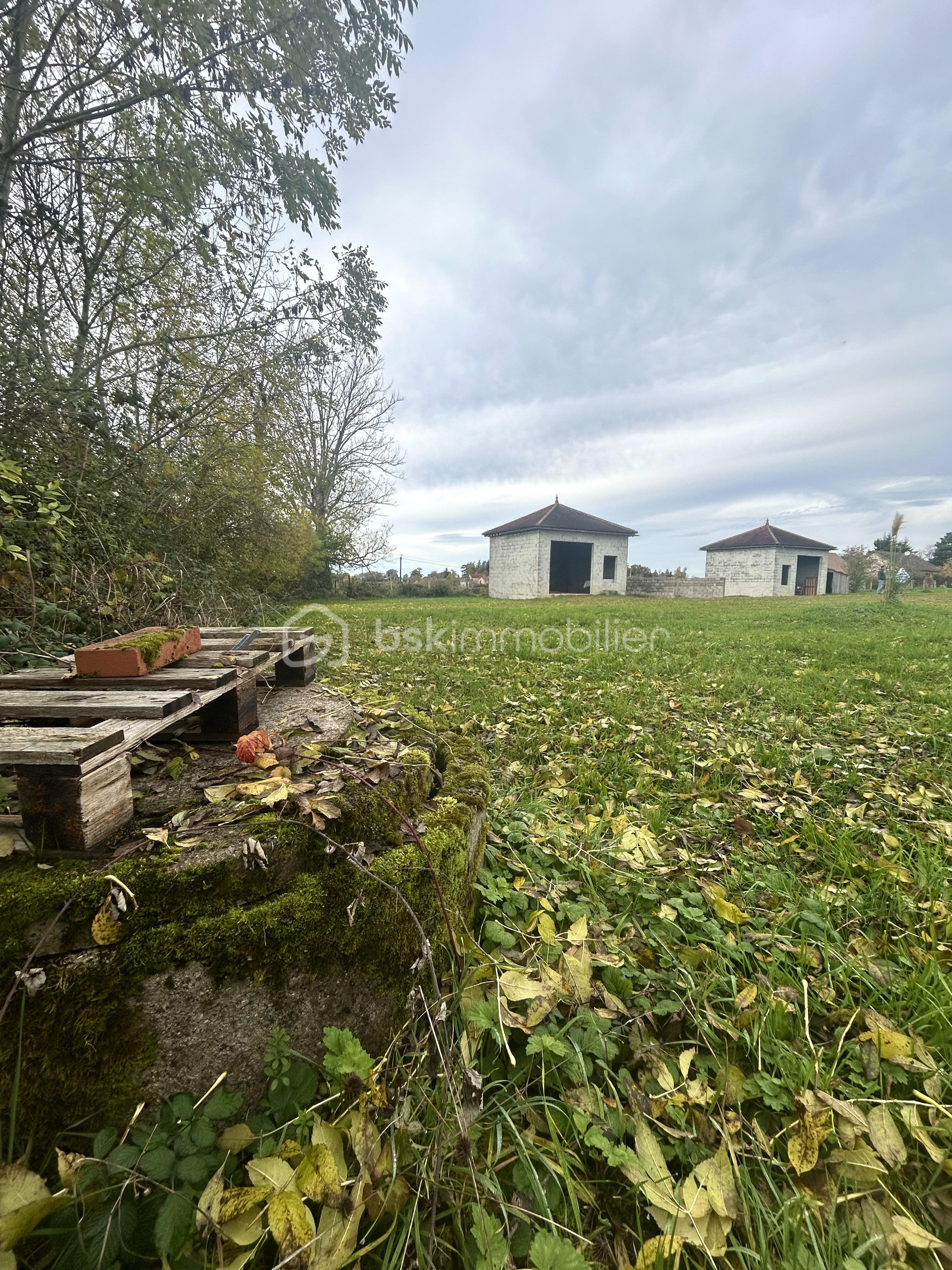 Terrain de 3 318 m² - IMG_5653.jpeg