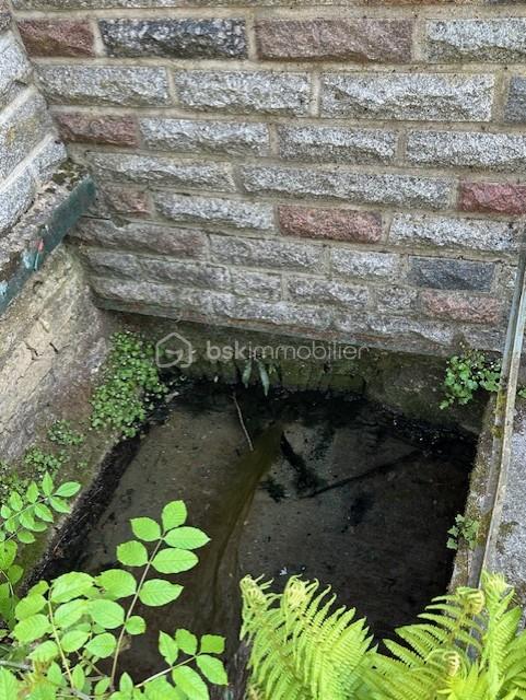 thumbnail_IMG_9724.jpg