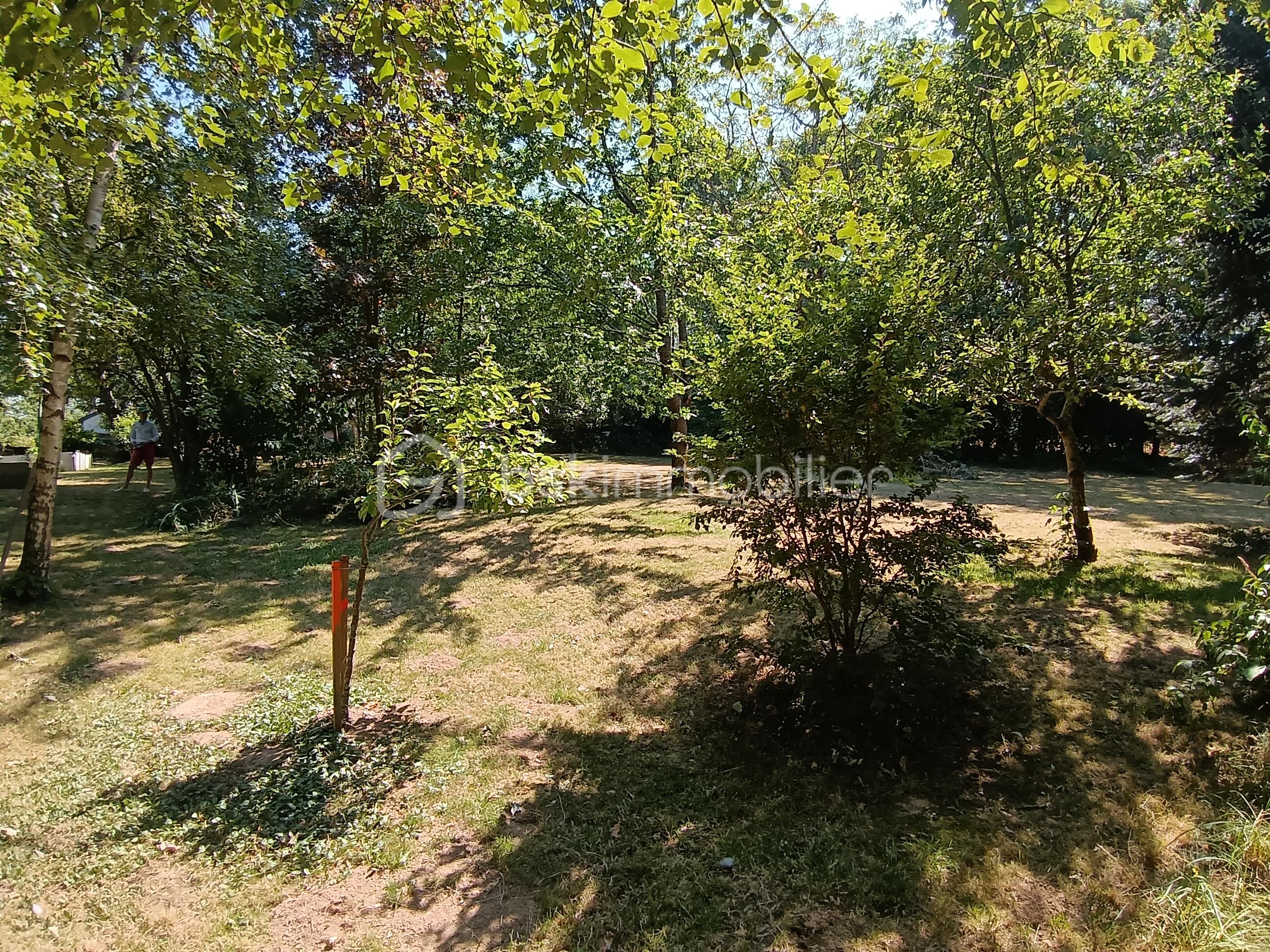 IMG_20260710_164457.jpg