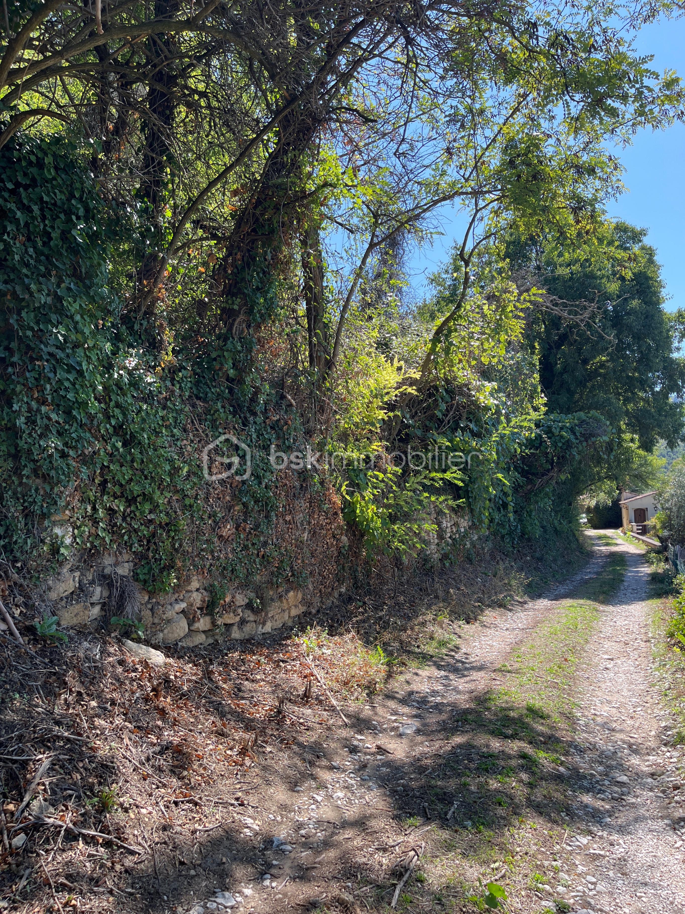 Terrain de 476 m² - BAS.jpg