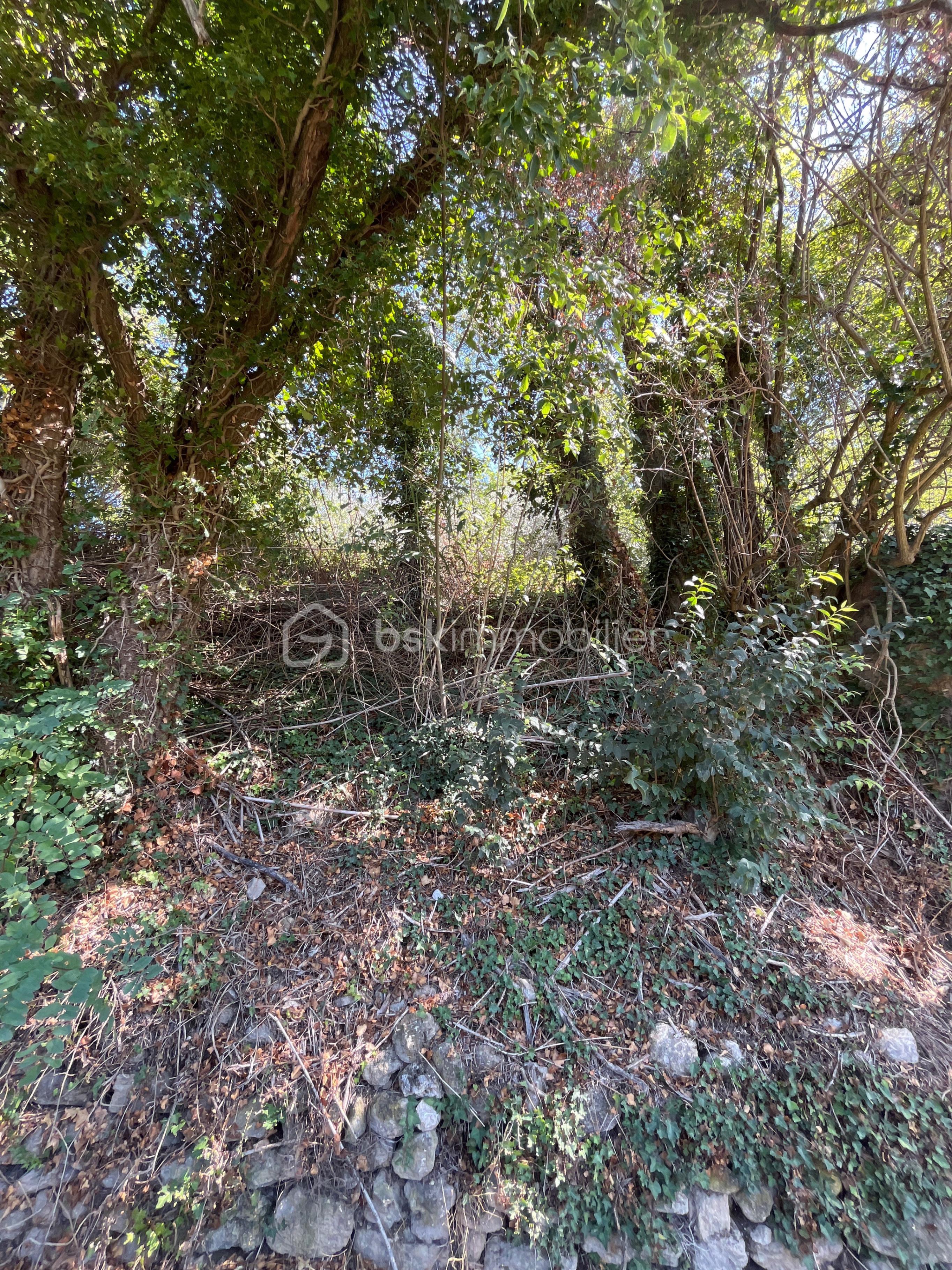 Terrain de 476 m² - BAS-3.jpg