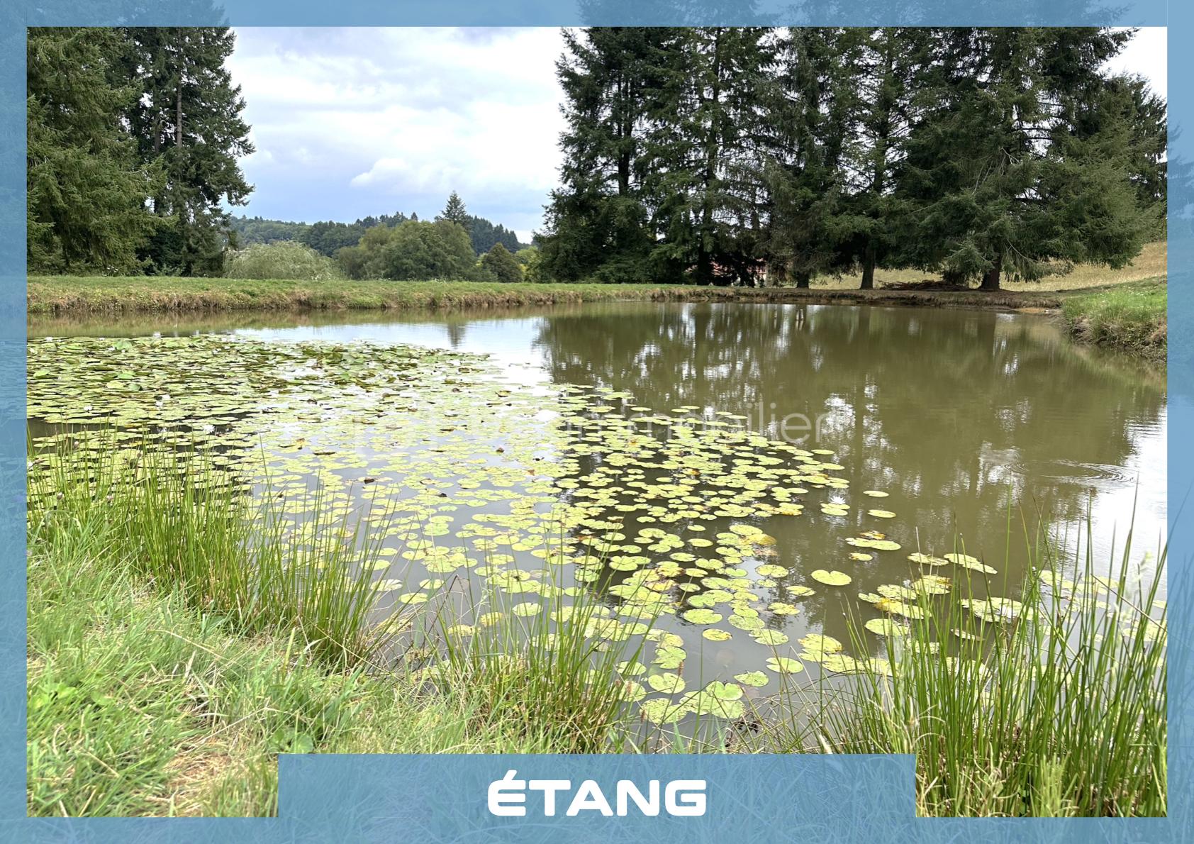 Maison de 66,50 m² - matrice photo annonce.2.jpeg