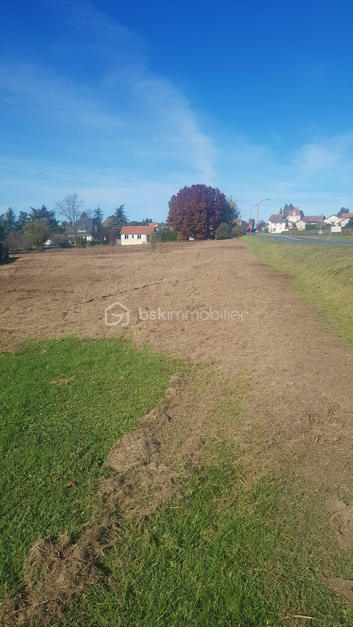 Terrain de 2 000 m² - 20211027_151215.jpg