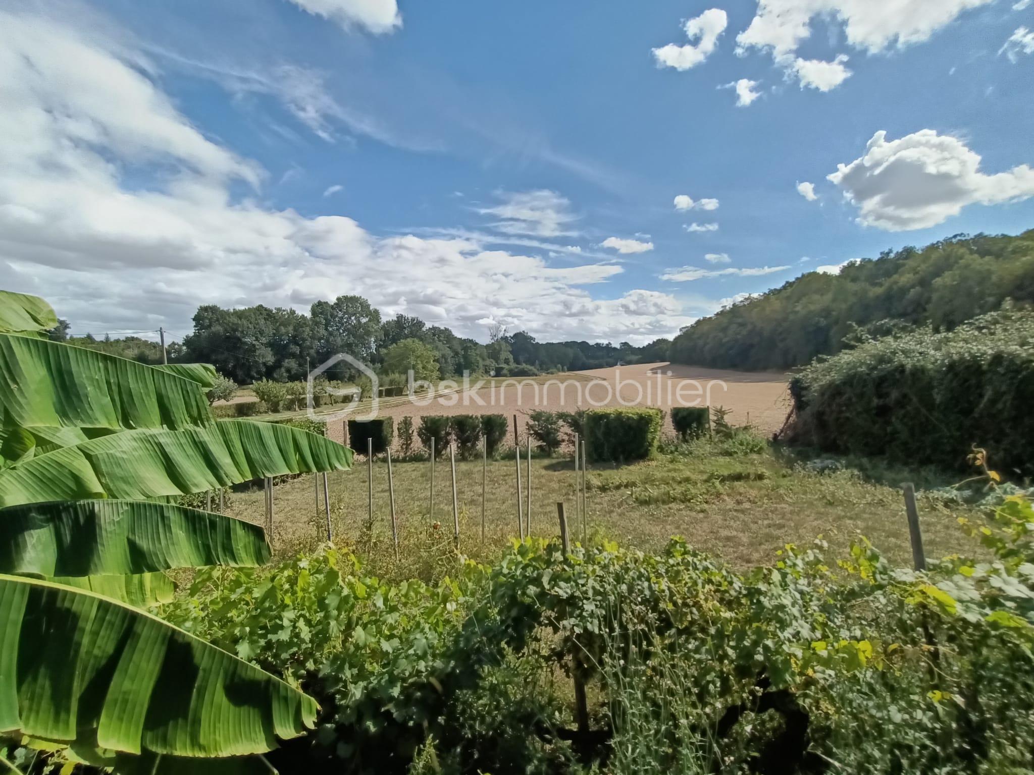 Maison de 140 m² - 11 TOP.jpg