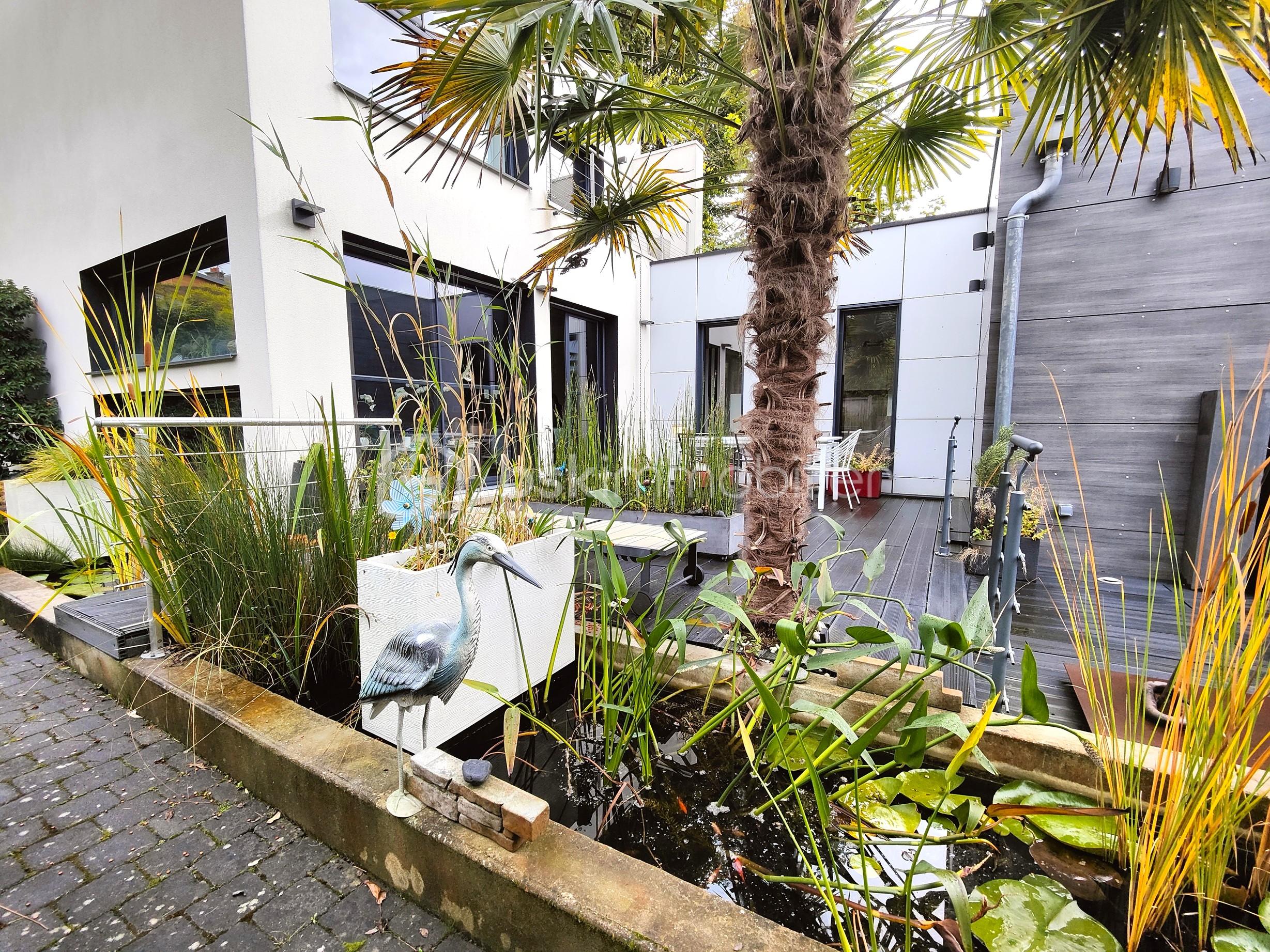 Maison d architecte de 160 m² - IMG20241007114027.jpg