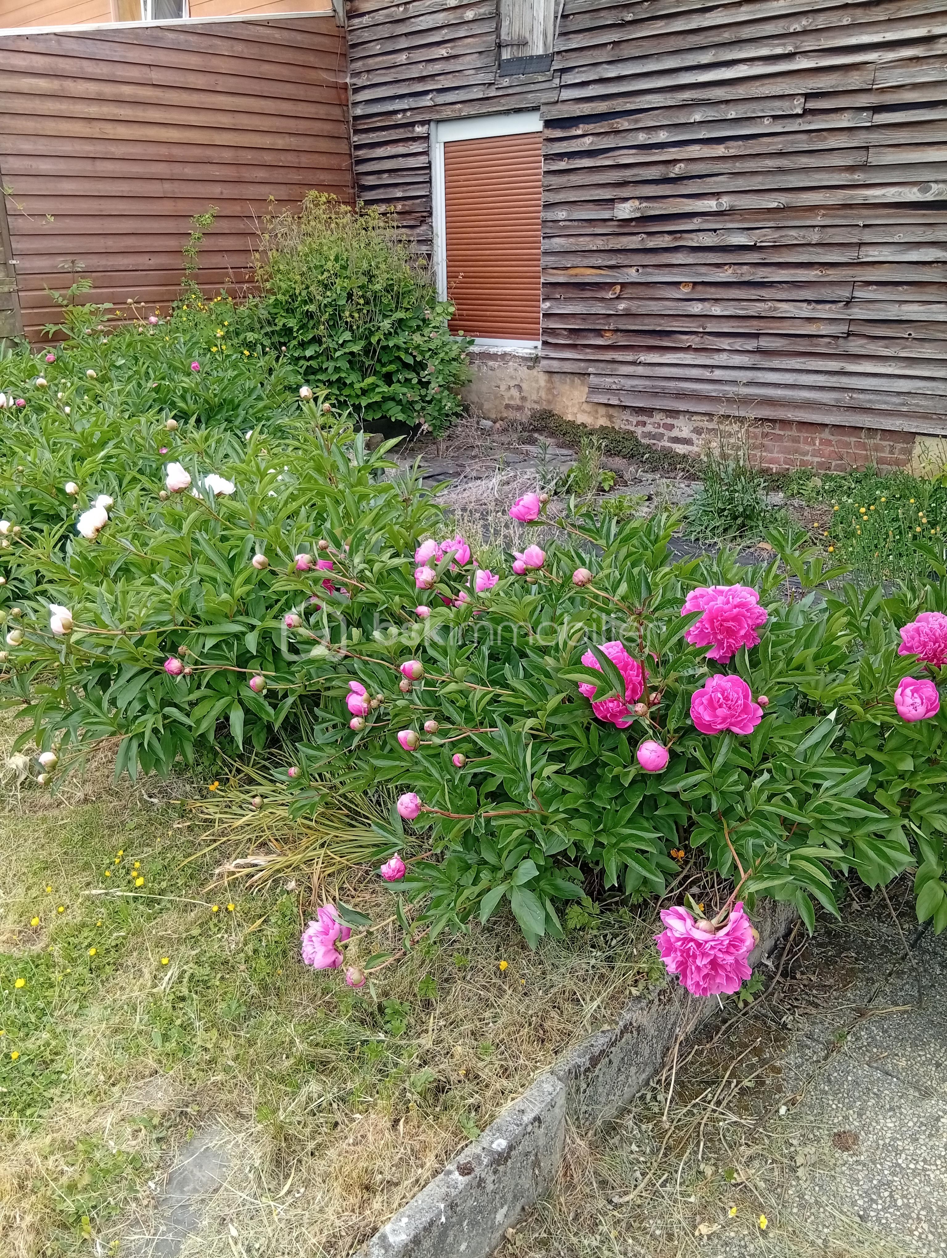 Maison ancienne de 147 m² - Jardin arrière Regniowez.jpg
