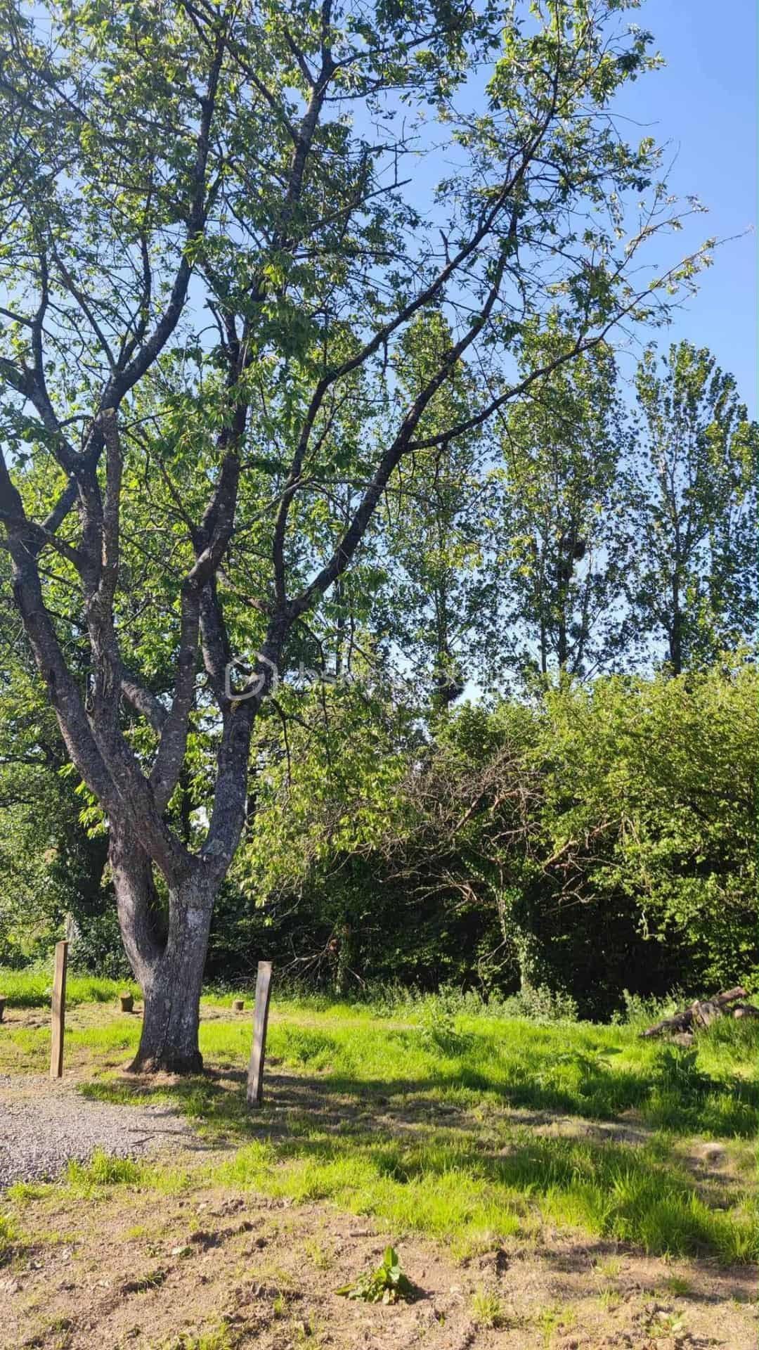 Maison de 116 m² - 577515332_1204429498200955_5035607430592118927_n.jpg