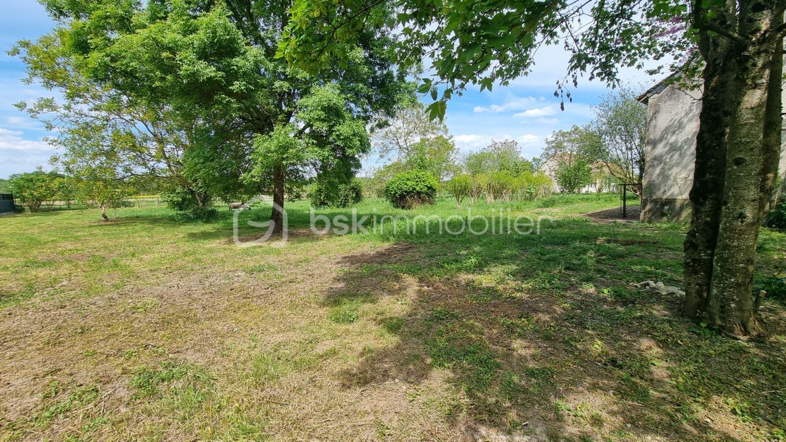 WhatsApp Image 2026-04-20 at 14.45.02 (2).jpeg