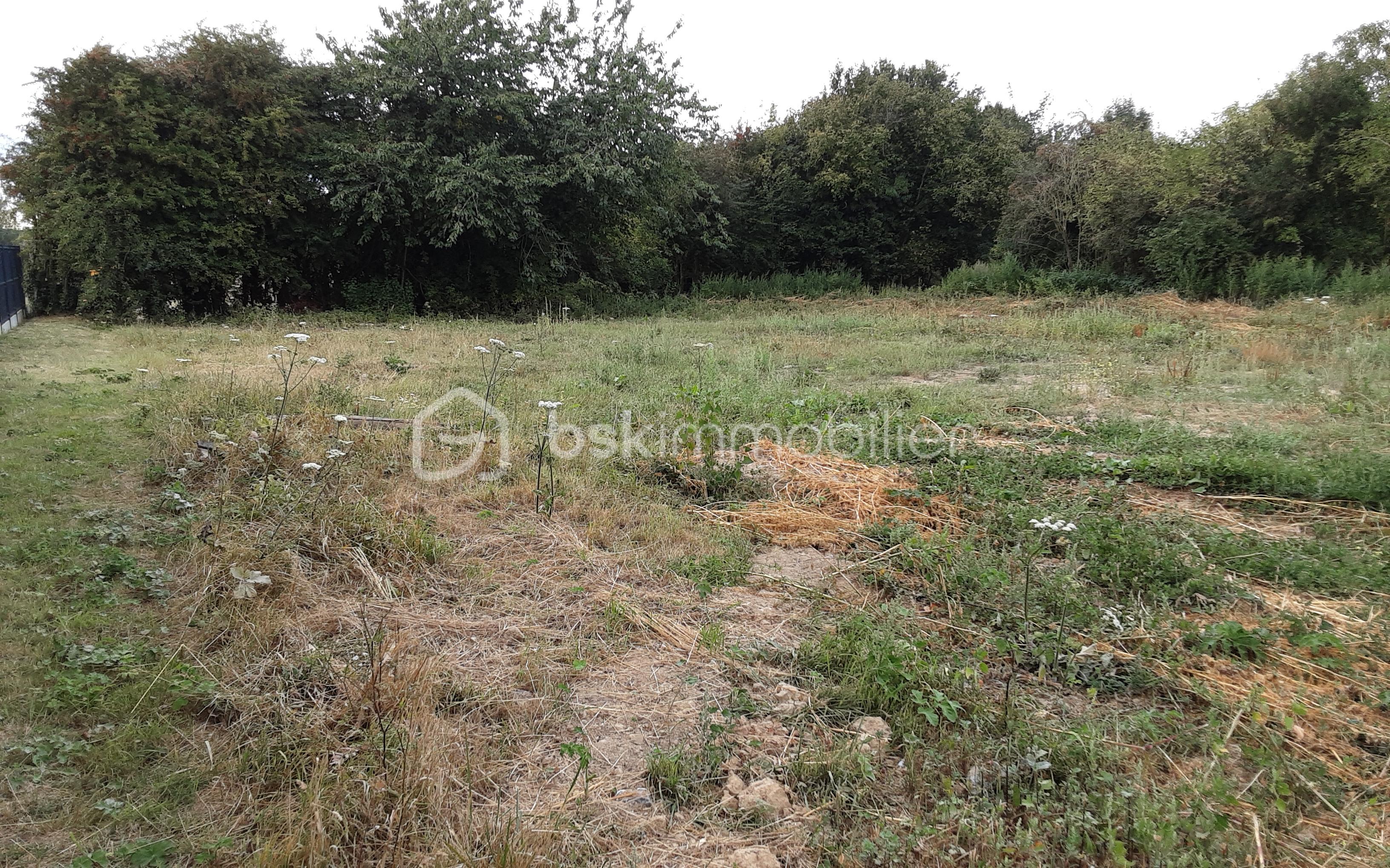 Terrain commercial de 1 300 m² - 20250822_191345.jpg