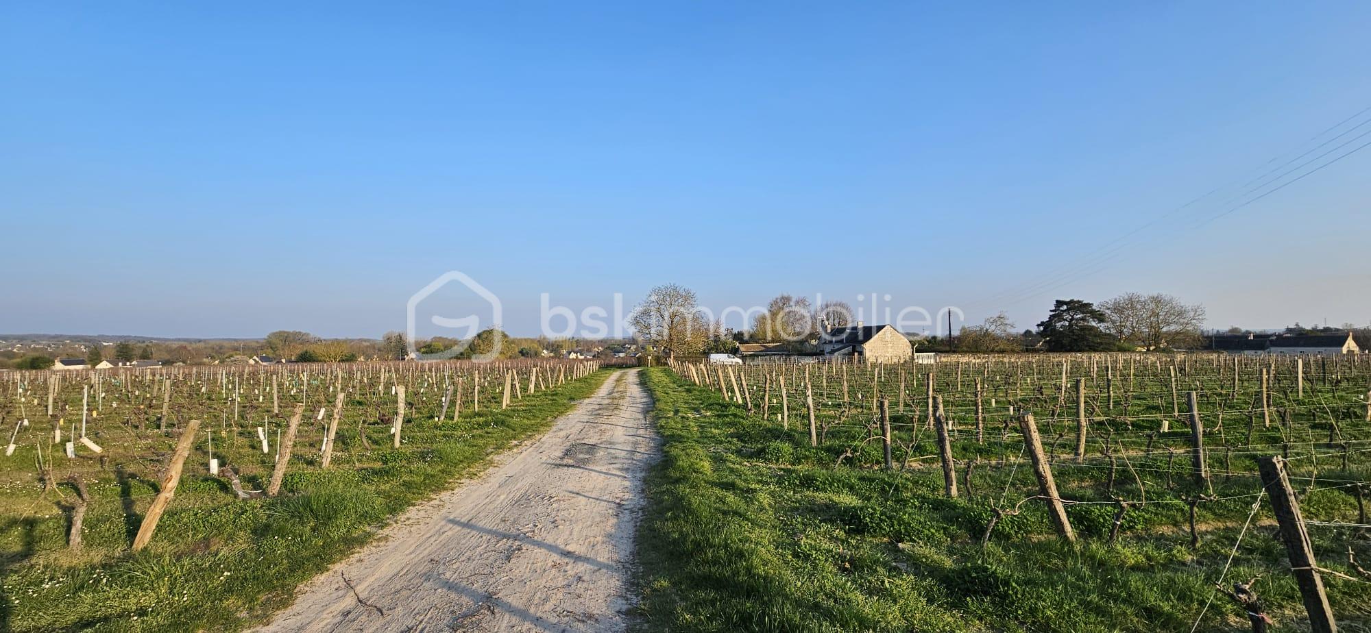 WhatsApp Image 2026-03-22 at 10.06.06.jpeg