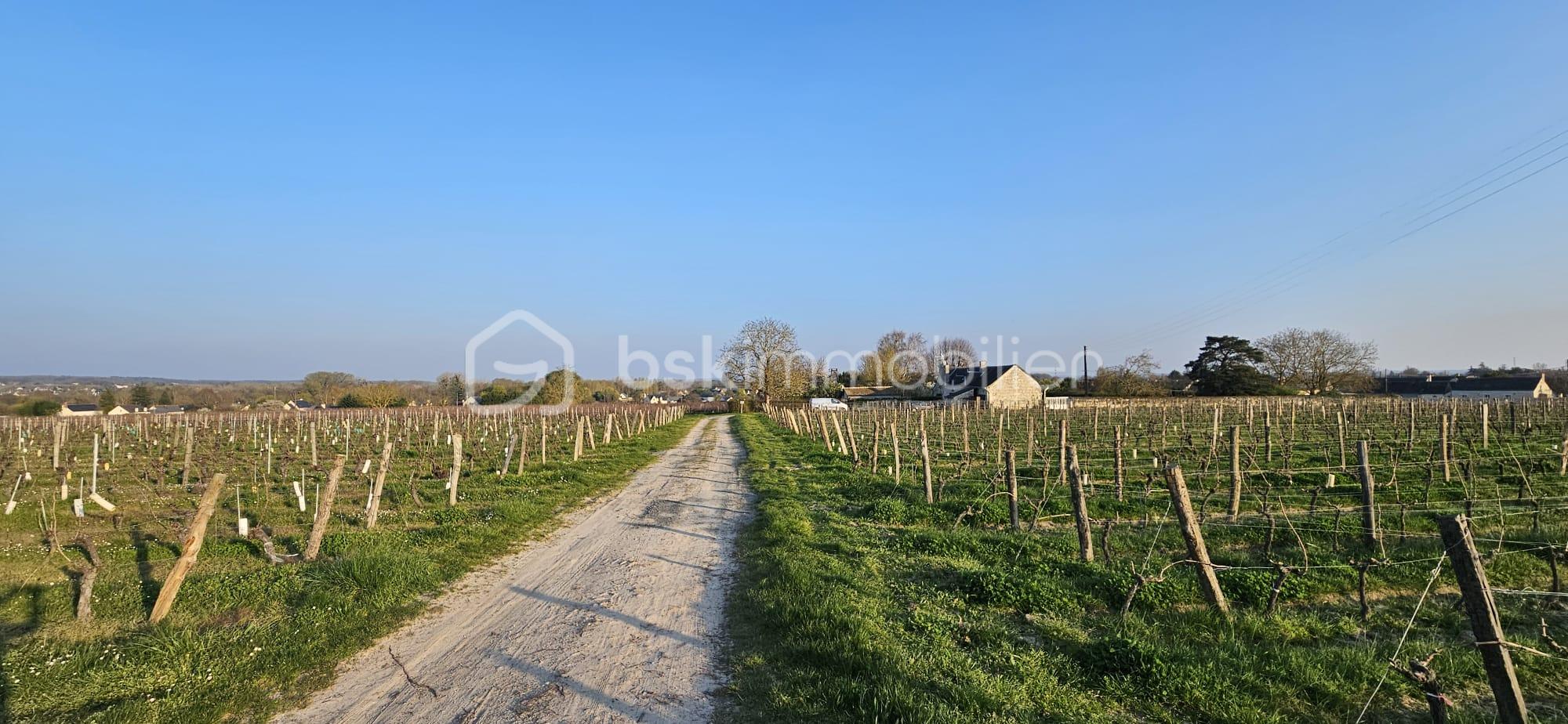 WhatsApp Image 2026-03-22 at 10.06.07.jpeg