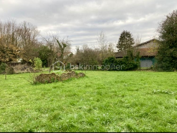 Terrain de 825 m² - IMG_6985.jpg