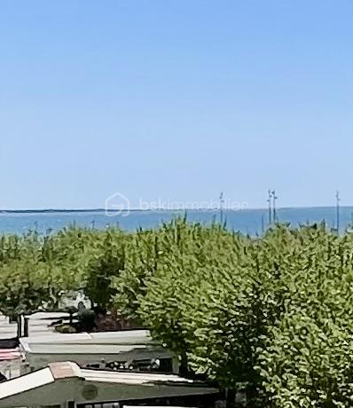 IMG_1061.jpeg